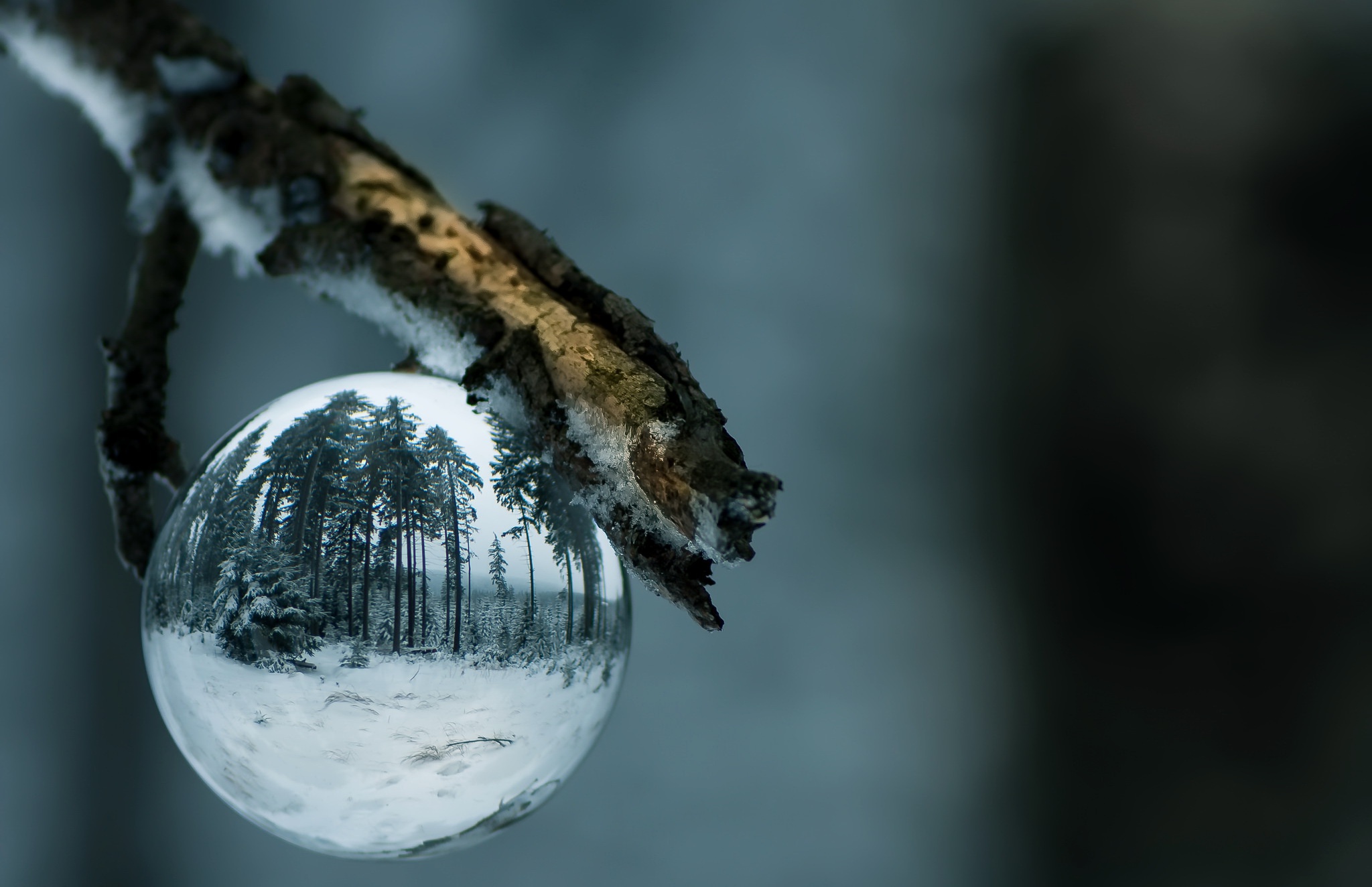 Descarga gratuita de fondo de pantalla para móvil de Invierno, Nieve, Tierra/naturaleza, Gota De Agua, Macrofotografía, Reflejo.