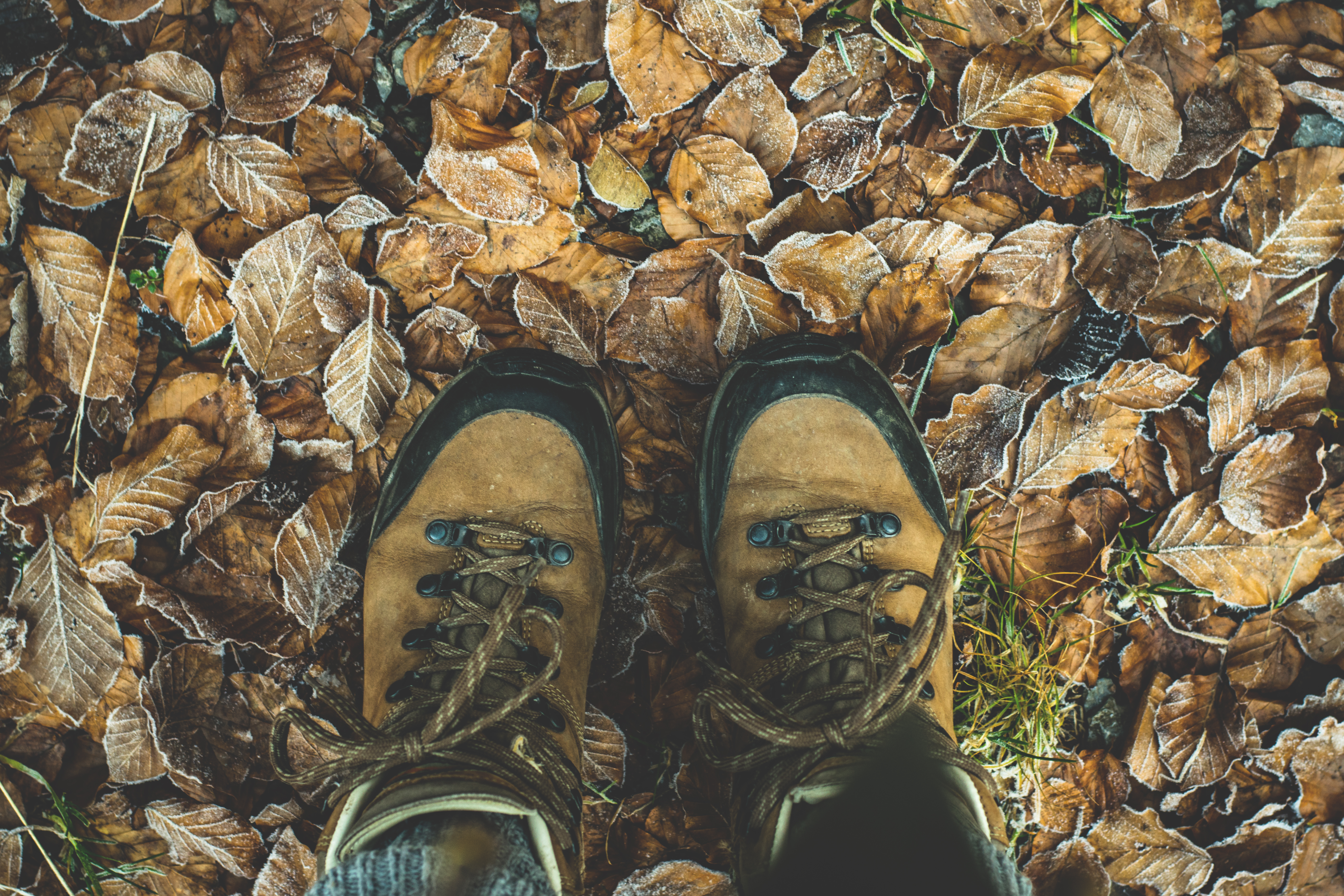 autumn, miscellanea, miscellaneous, legs, foliage, boots, shoes