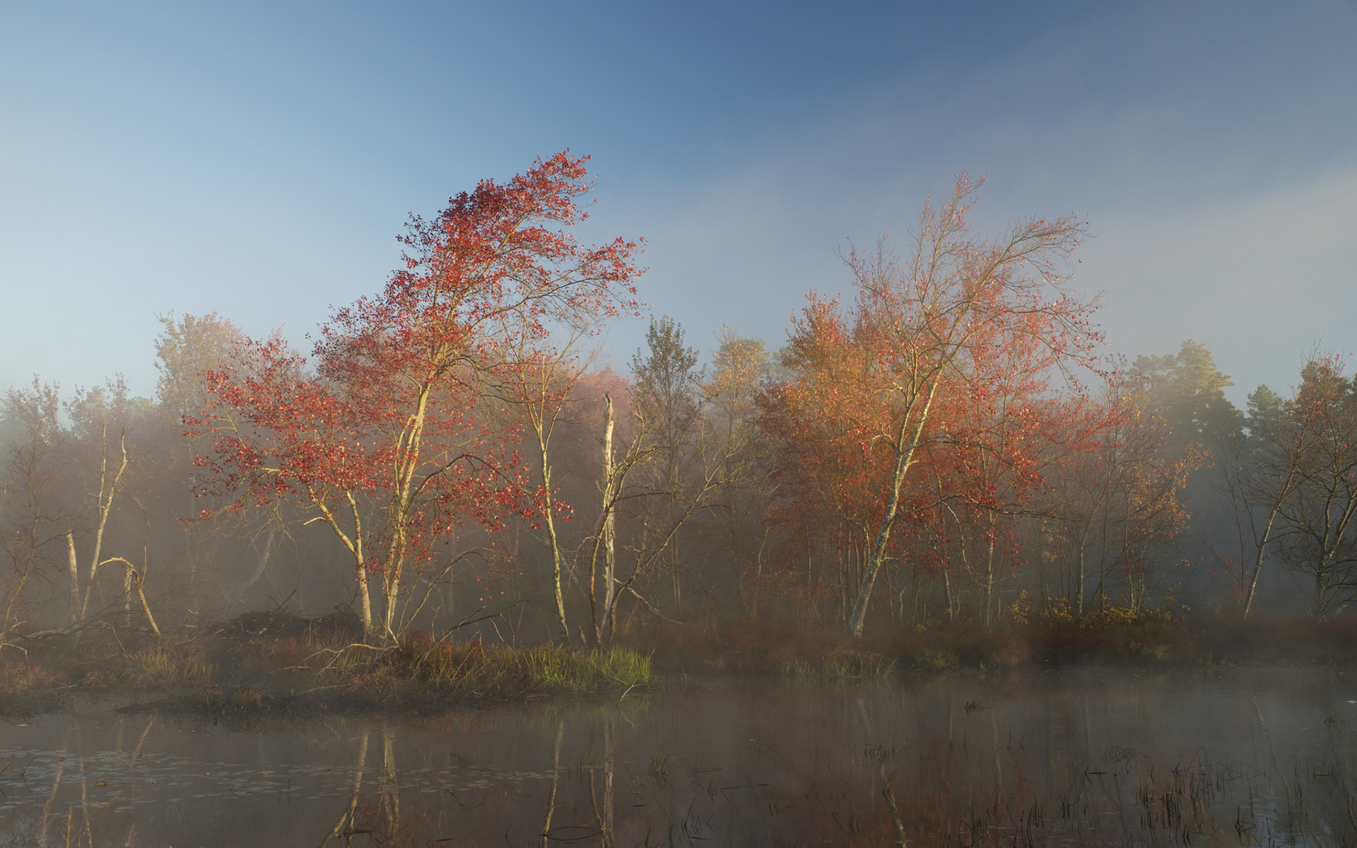 Téléchargez gratuitement l'image Automne, Terre/nature sur le bureau de votre PC