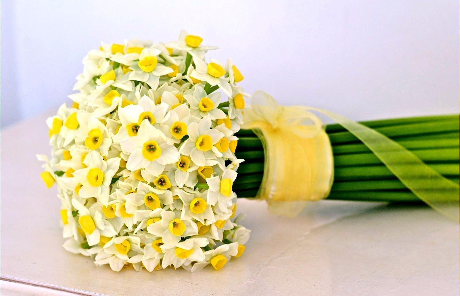 flowers, narcissussi, bouquet, bow, tape QHD