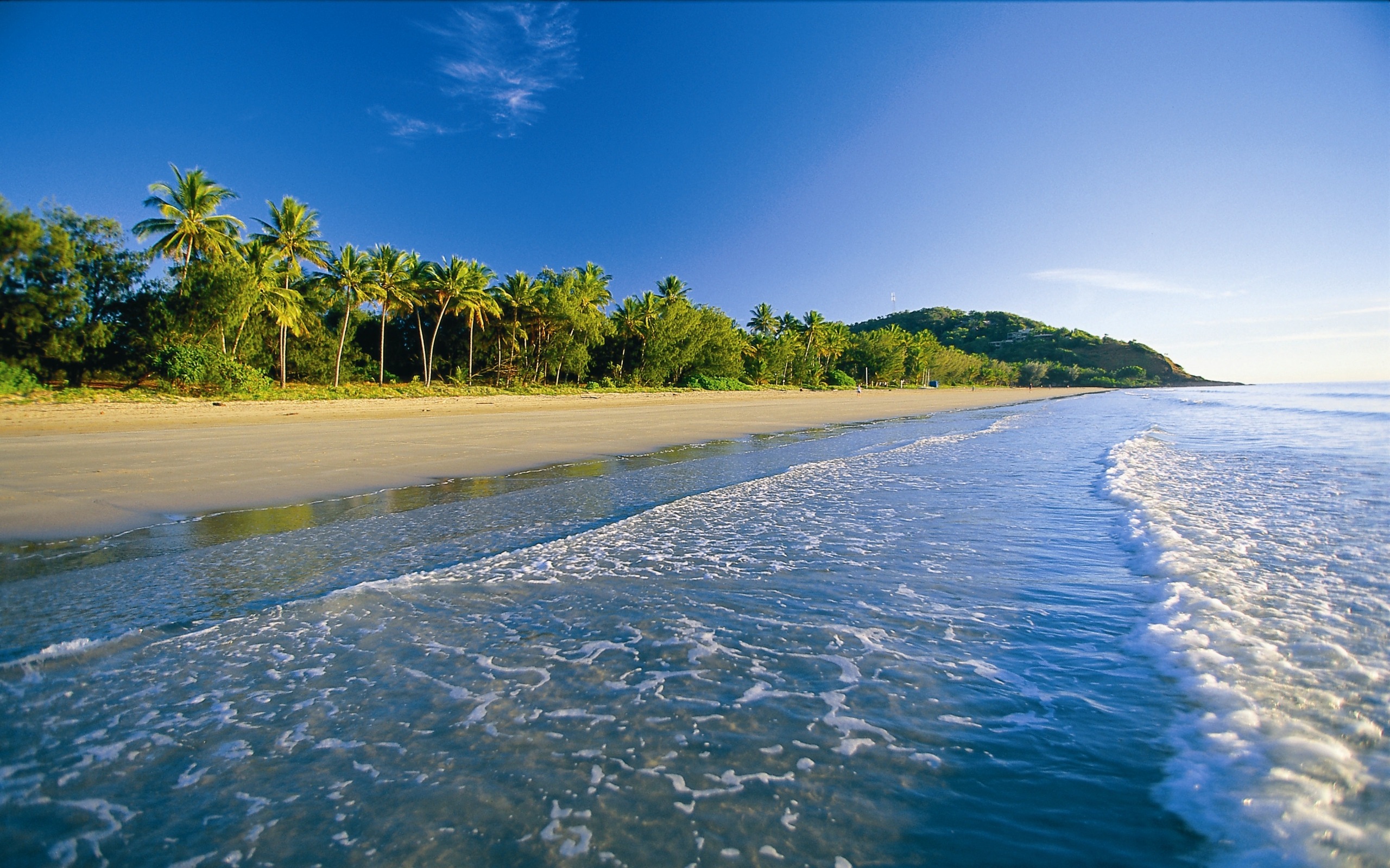 Laden Sie das Strand, Ozean, Palme, Tropisch, Meer, Erde/natur-Bild kostenlos auf Ihren PC-Desktop herunter