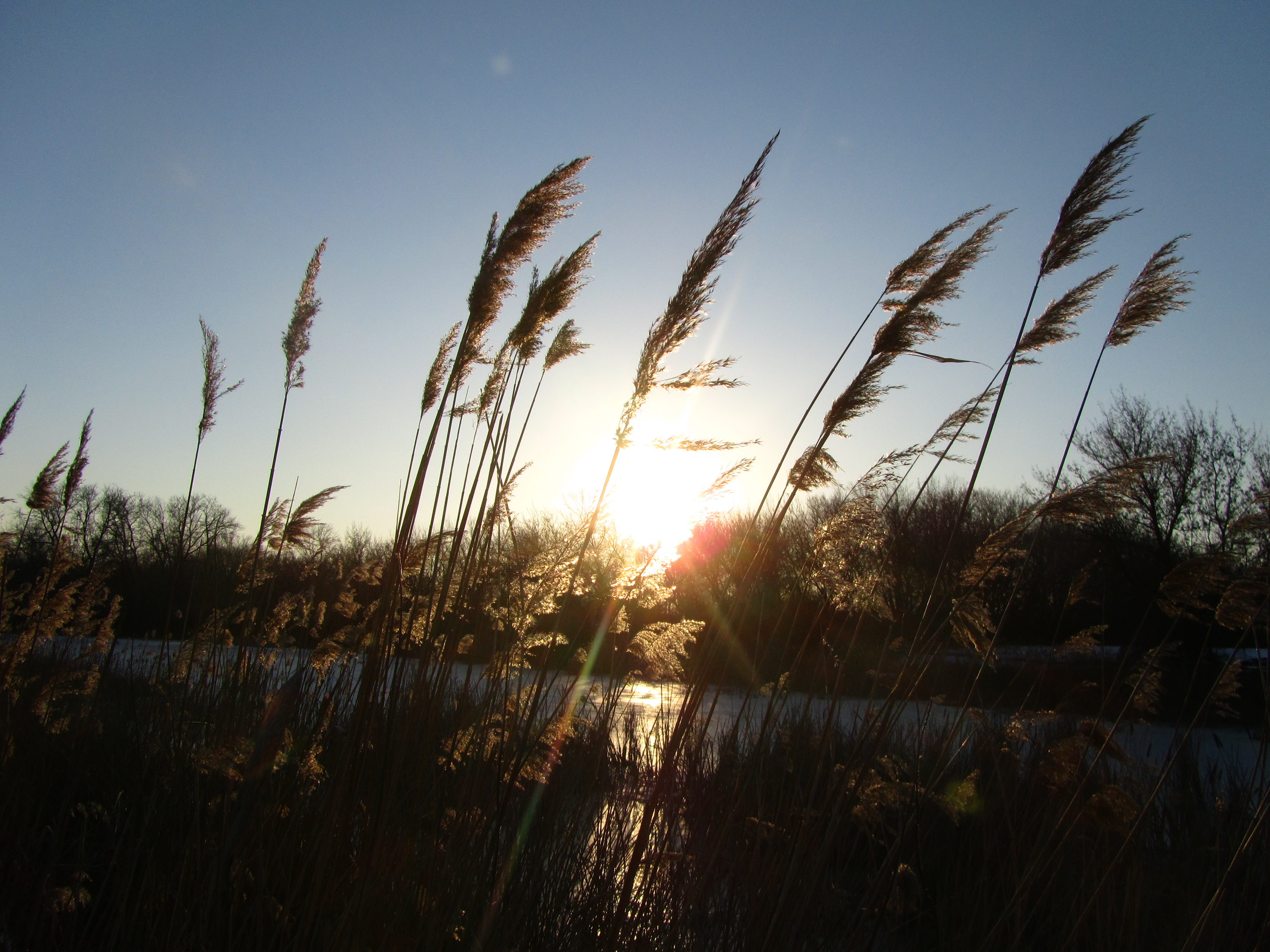 Free download wallpaper Earth, Sunbeam on your PC desktop