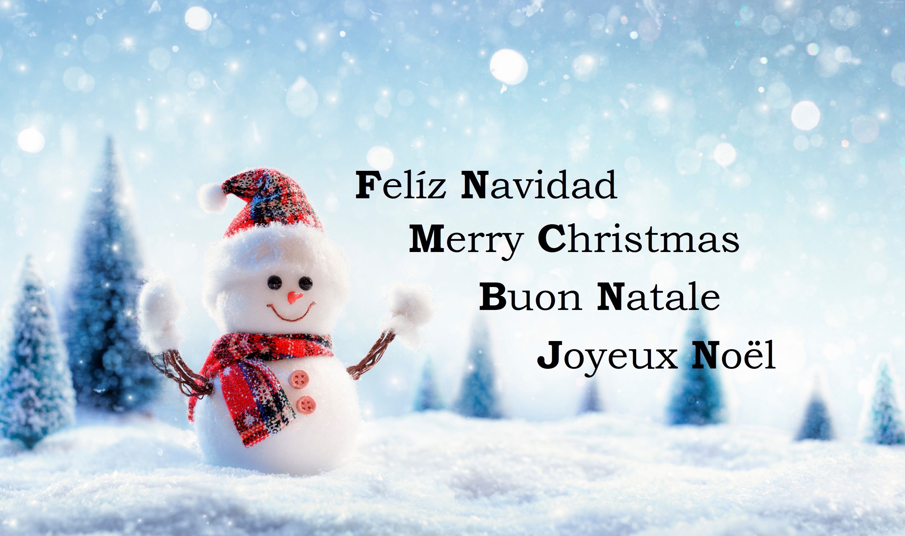 Download mobile wallpaper Snowman, Christmas, Holiday, Merry Christmas for free.
