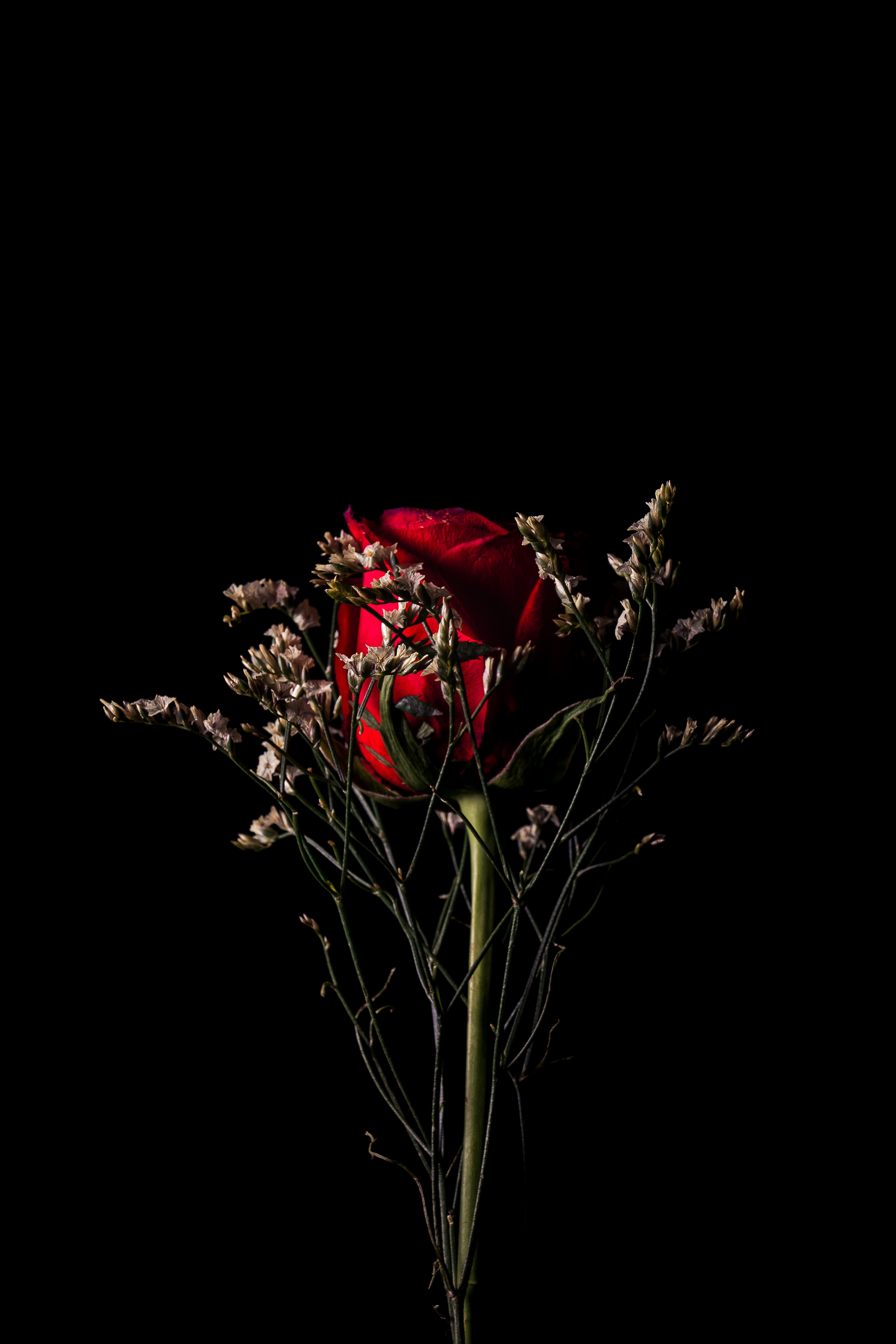67346 завантажити шпалери червоний, троянда, букет, роза, квіти, квітка, темний - заставки і картинки безкоштовно