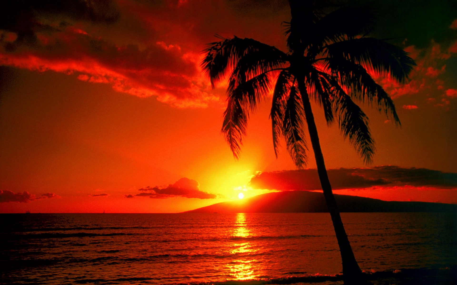 Free download wallpaper Sunset, Sky, Sun, Silhouette, Ocean, Earth, Tropics, Tropical, Cloud, Orange (Color), Palm Tree on your PC desktop