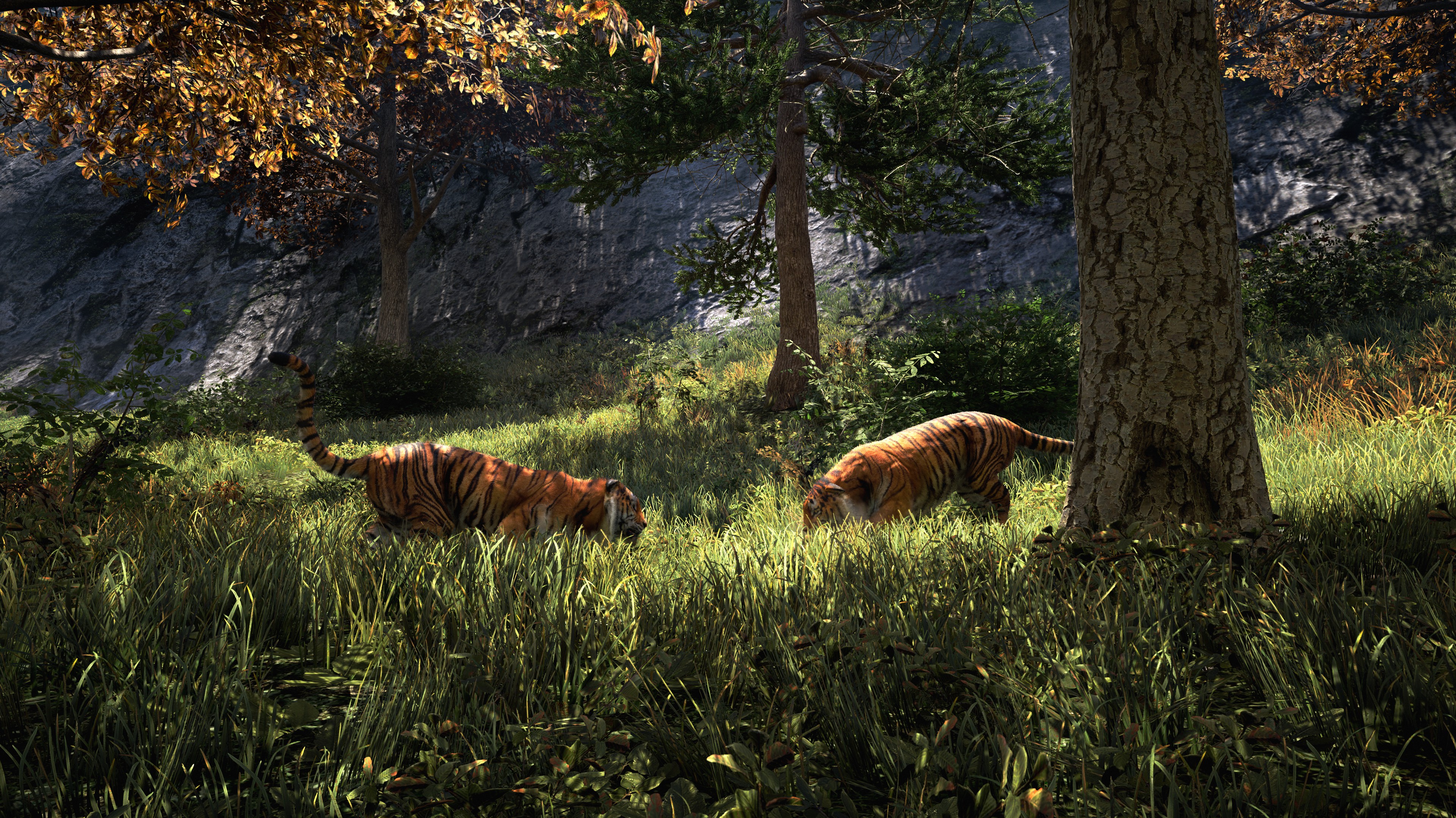 Laden Sie das Tiger, Computerspiele, Far Cry, Far Cry 4-Bild kostenlos auf Ihren PC-Desktop herunter