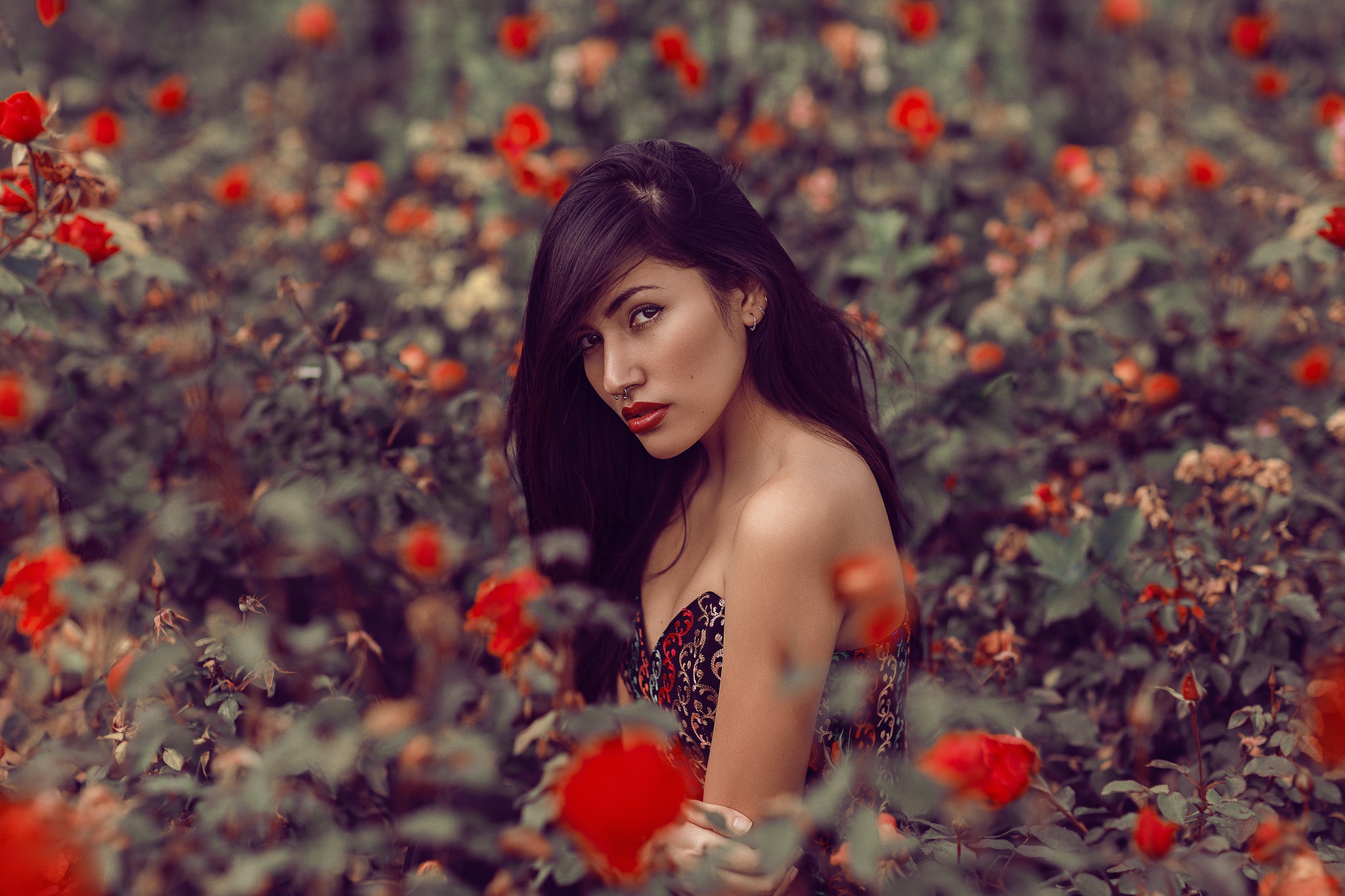 802572 скачать картинку женщины, модель, коричневые глаза, брюнетка, цветок, помада, красный цветок, кусты роз - обои и заставки бесплатно