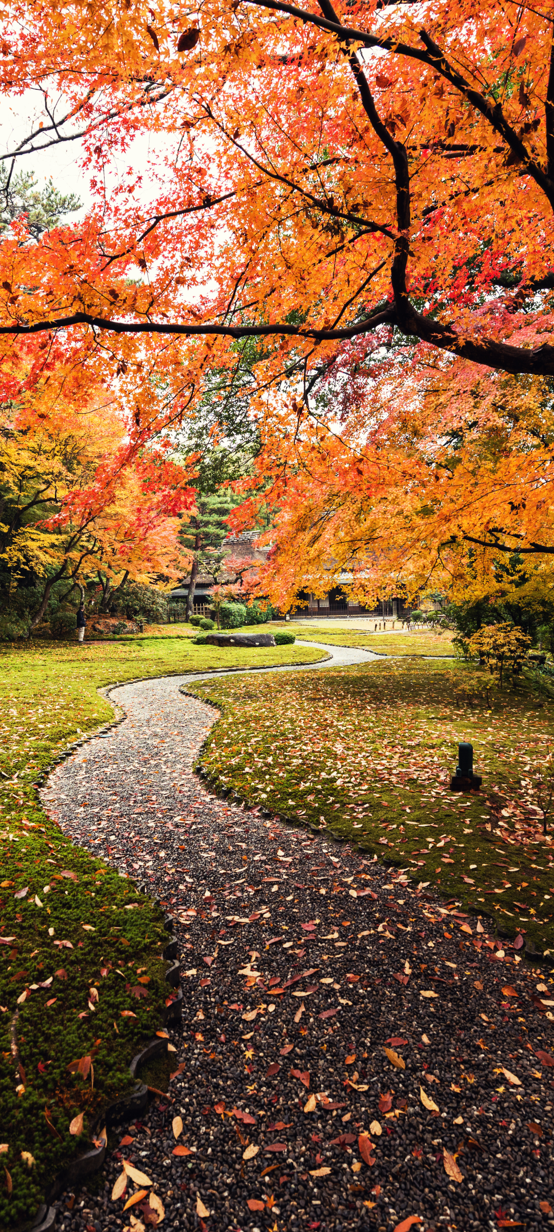 Download mobile wallpaper Fall, Path, Garden, Japan, Photography for free.