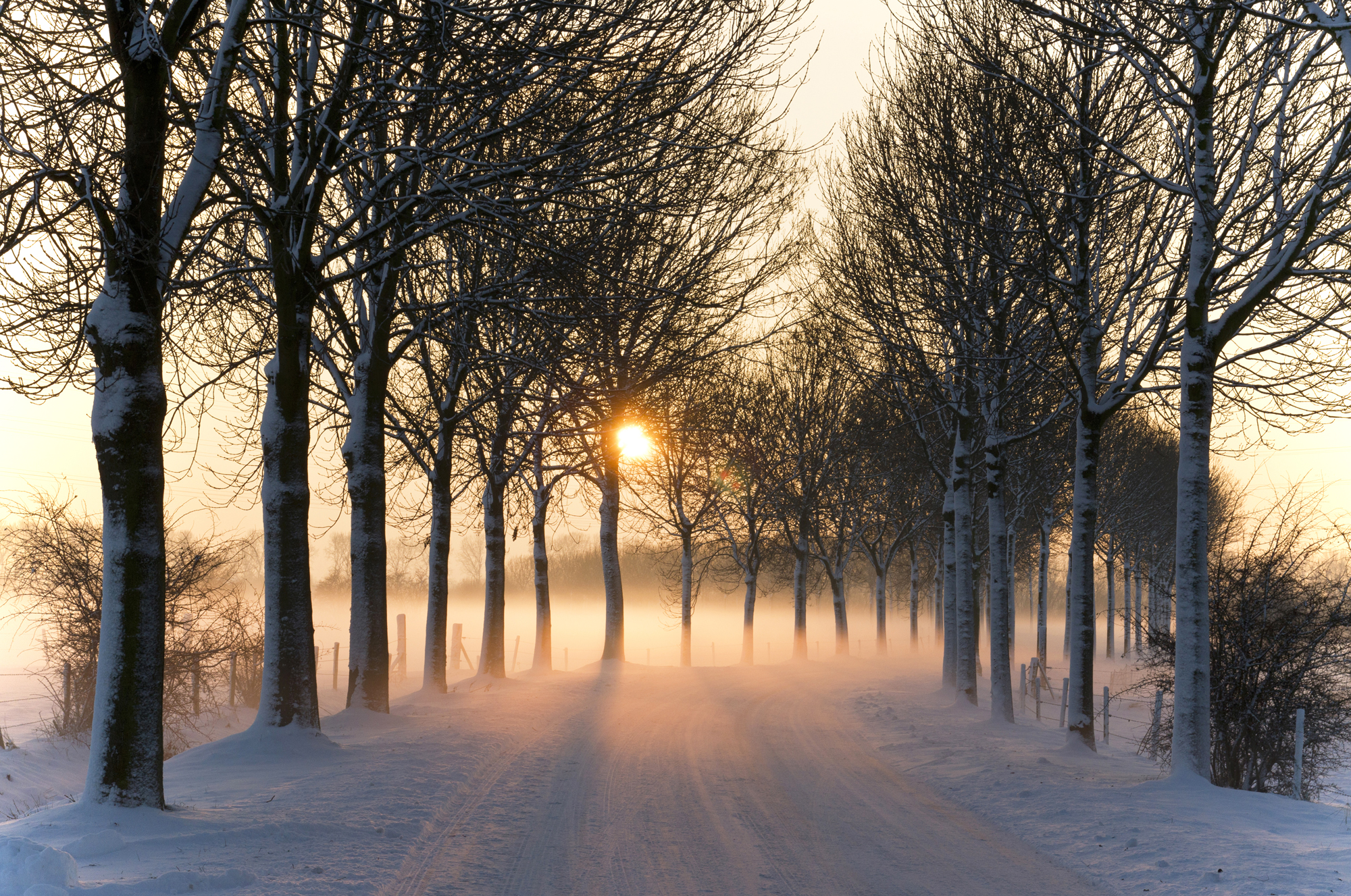 Laden Sie das Winter, Schnee, Straße, Baum, Sonnenuntergang, Sonne, Erde/natur, Von Bäumen Gesäumt-Bild kostenlos auf Ihren PC-Desktop herunter