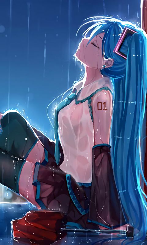 Handy-Wallpaper Vocaloid, Hatsune Miku, Animes kostenlos herunterladen.