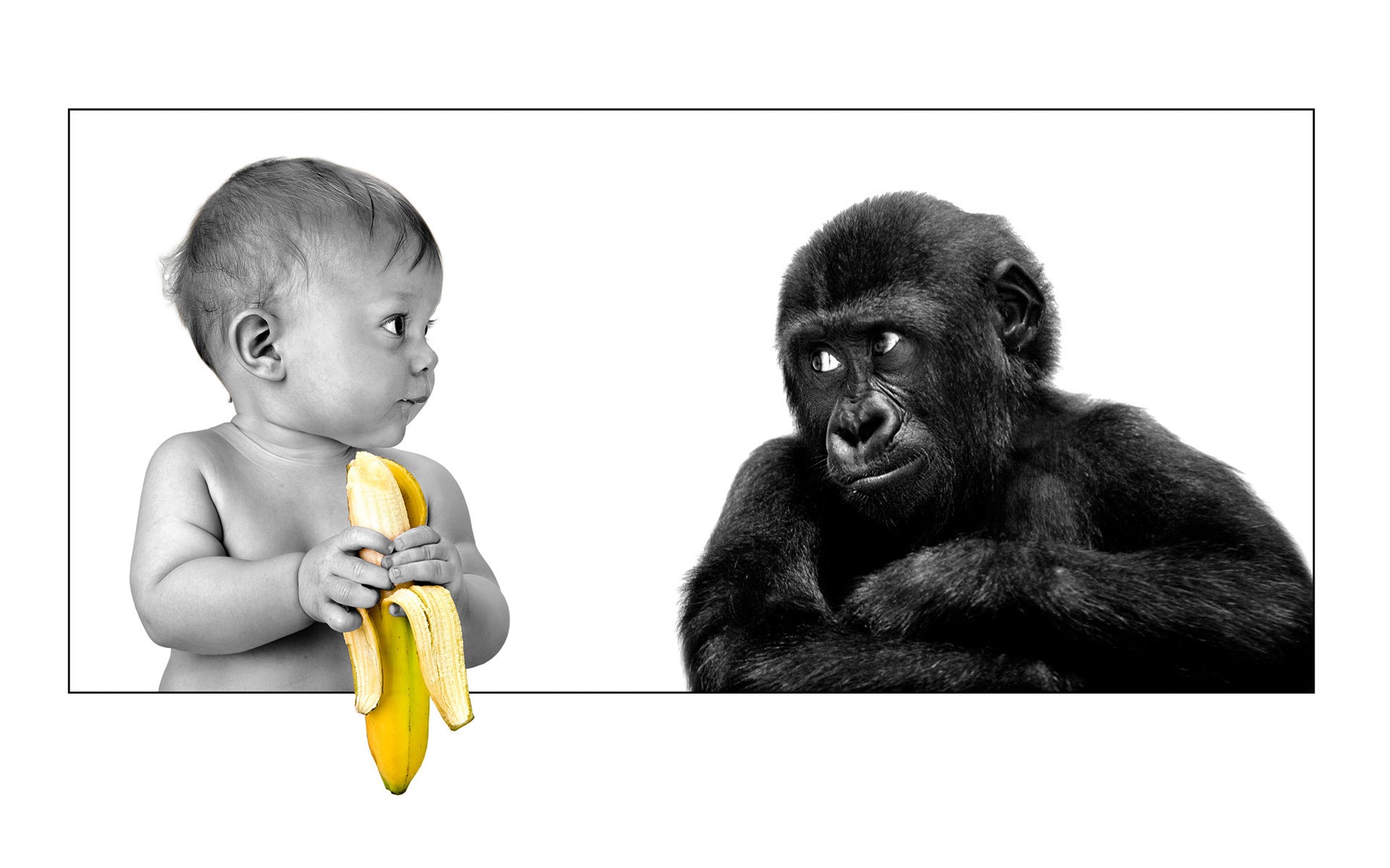 180006 завантажити картинку мавпа, смішно, гумор, дитина - шпалери і заставки безкоштовно