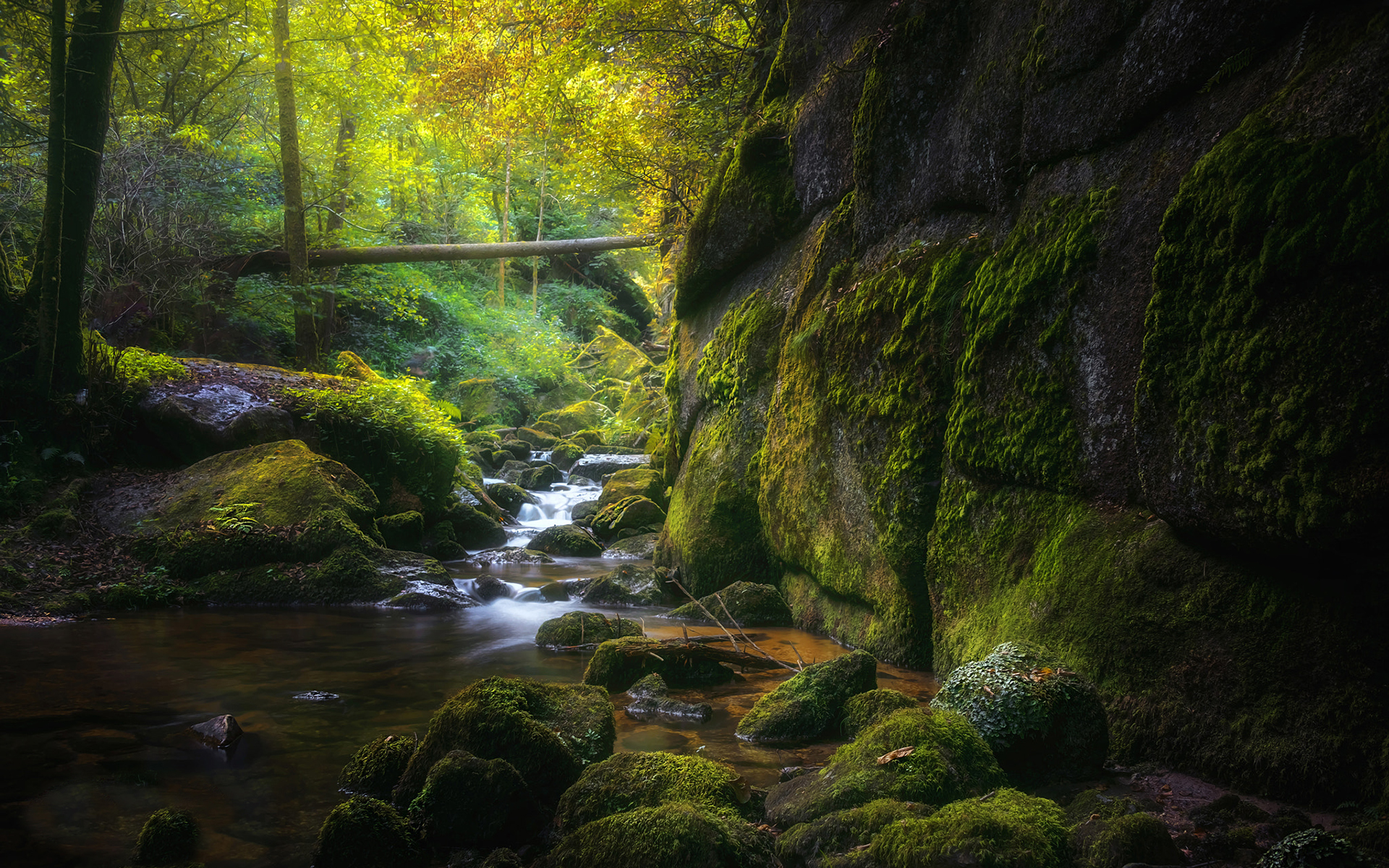 Download mobile wallpaper Nature, Earth, Stone, Moss, Stream, River for free.