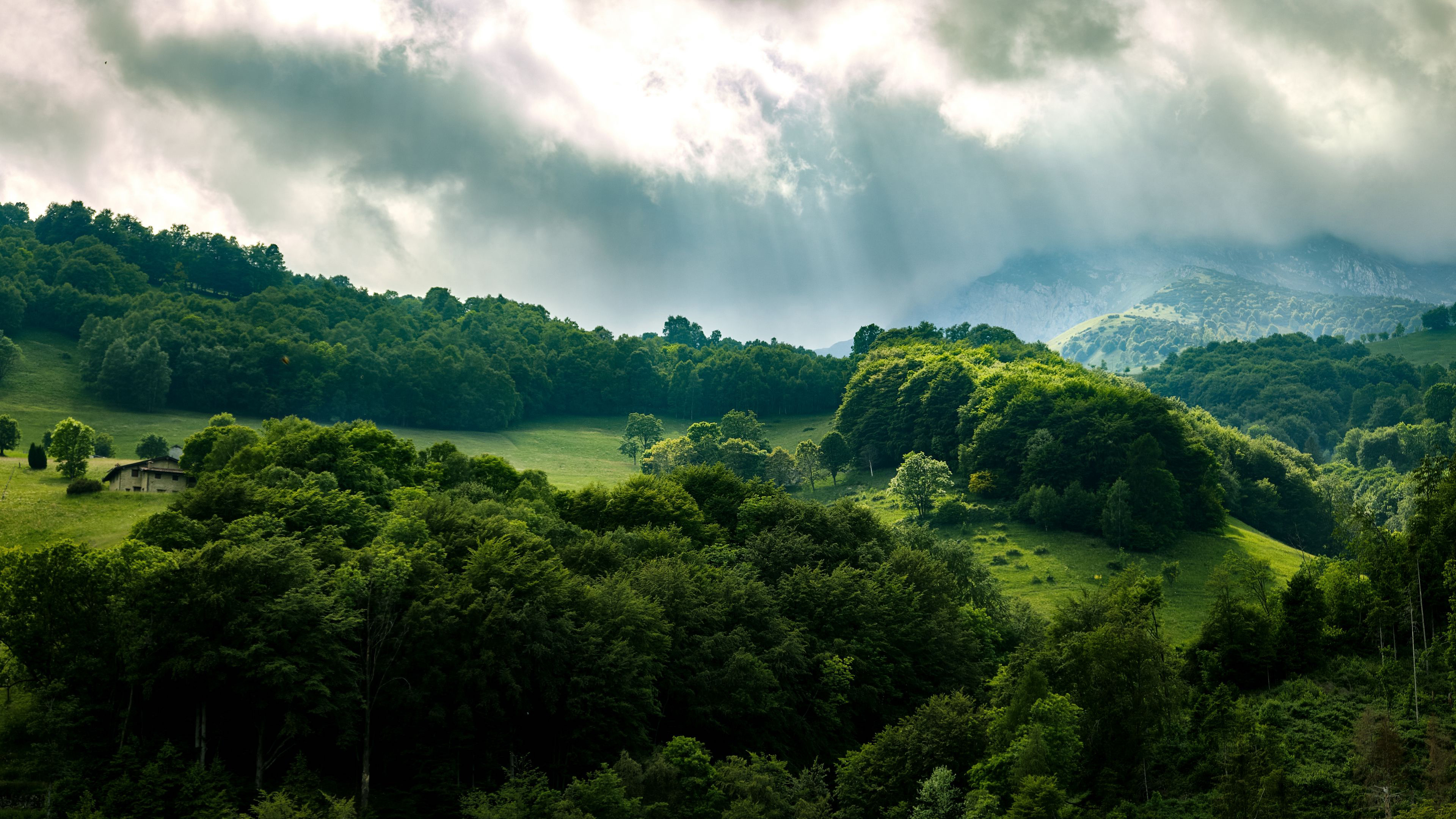 Handy-Wallpaper Landschaft, Wald, Baum, Sonnenstrahl, Erde/natur kostenlos herunterladen.