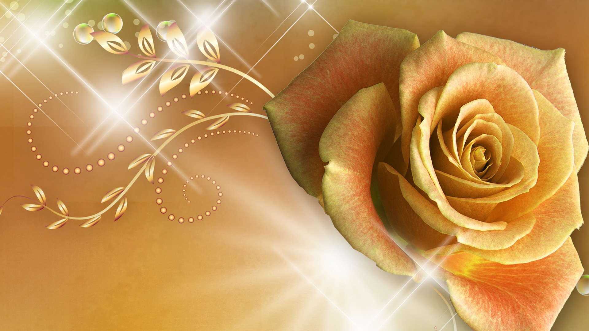 Laden Sie das Rose, Künstlerisch-Bild kostenlos auf Ihren PC-Desktop herunter