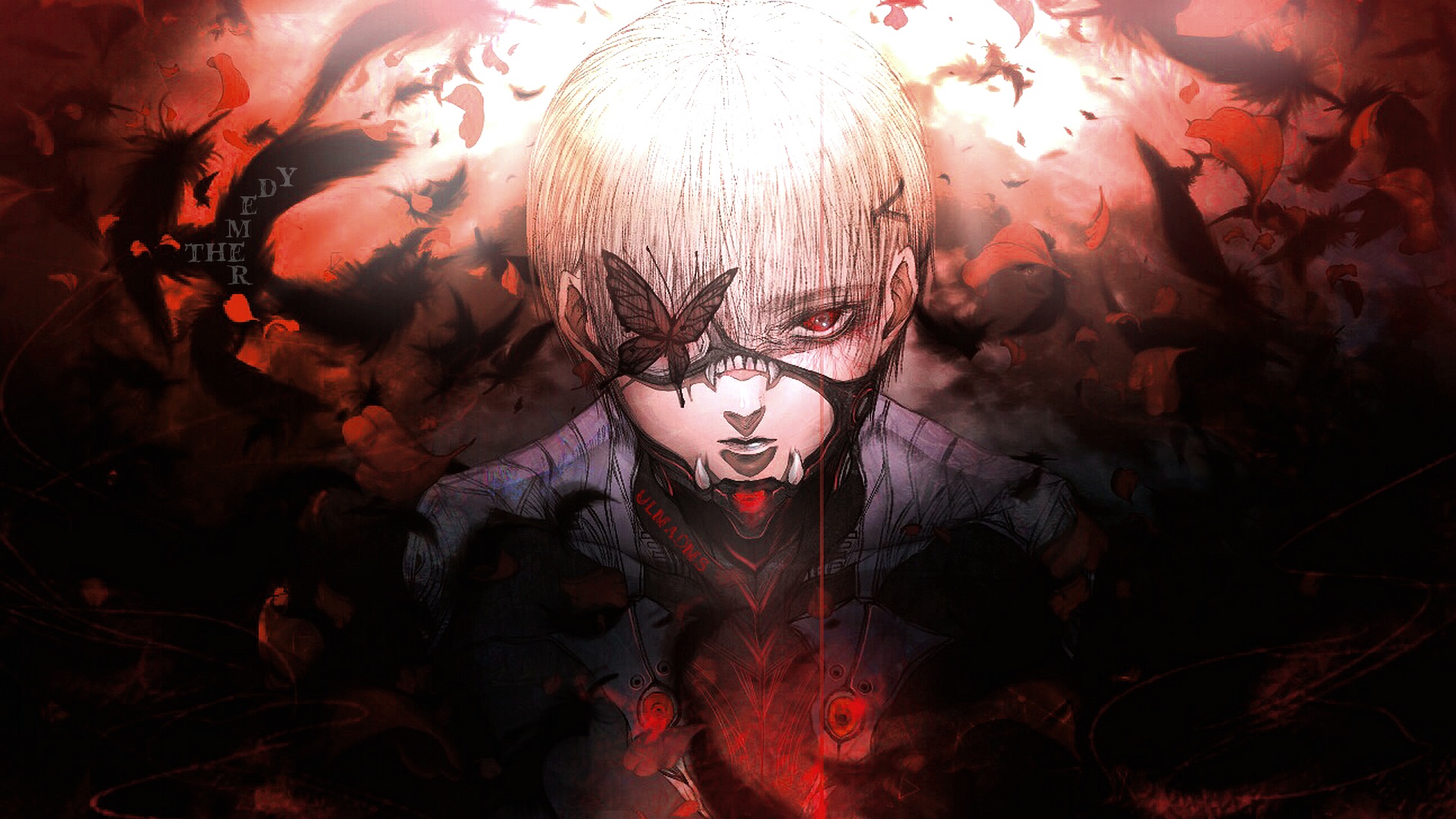 Handy-Wallpaper Animes, Ken Kanek, Tokyo Ghoul kostenlos herunterladen.