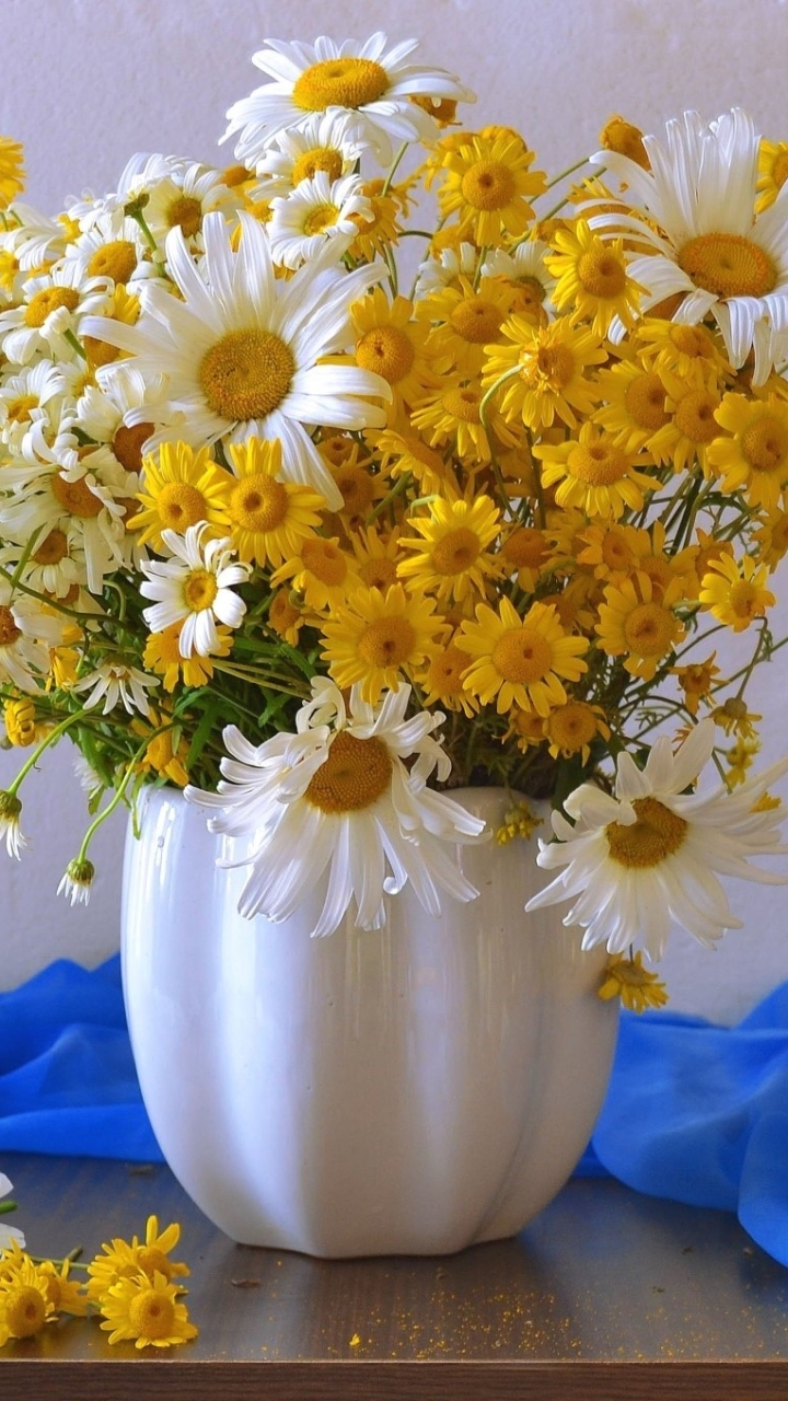 無料モバイル壁紙花, 花瓶, デイジー, 黄色い花, 白い花, マンメイドをダウンロードします。