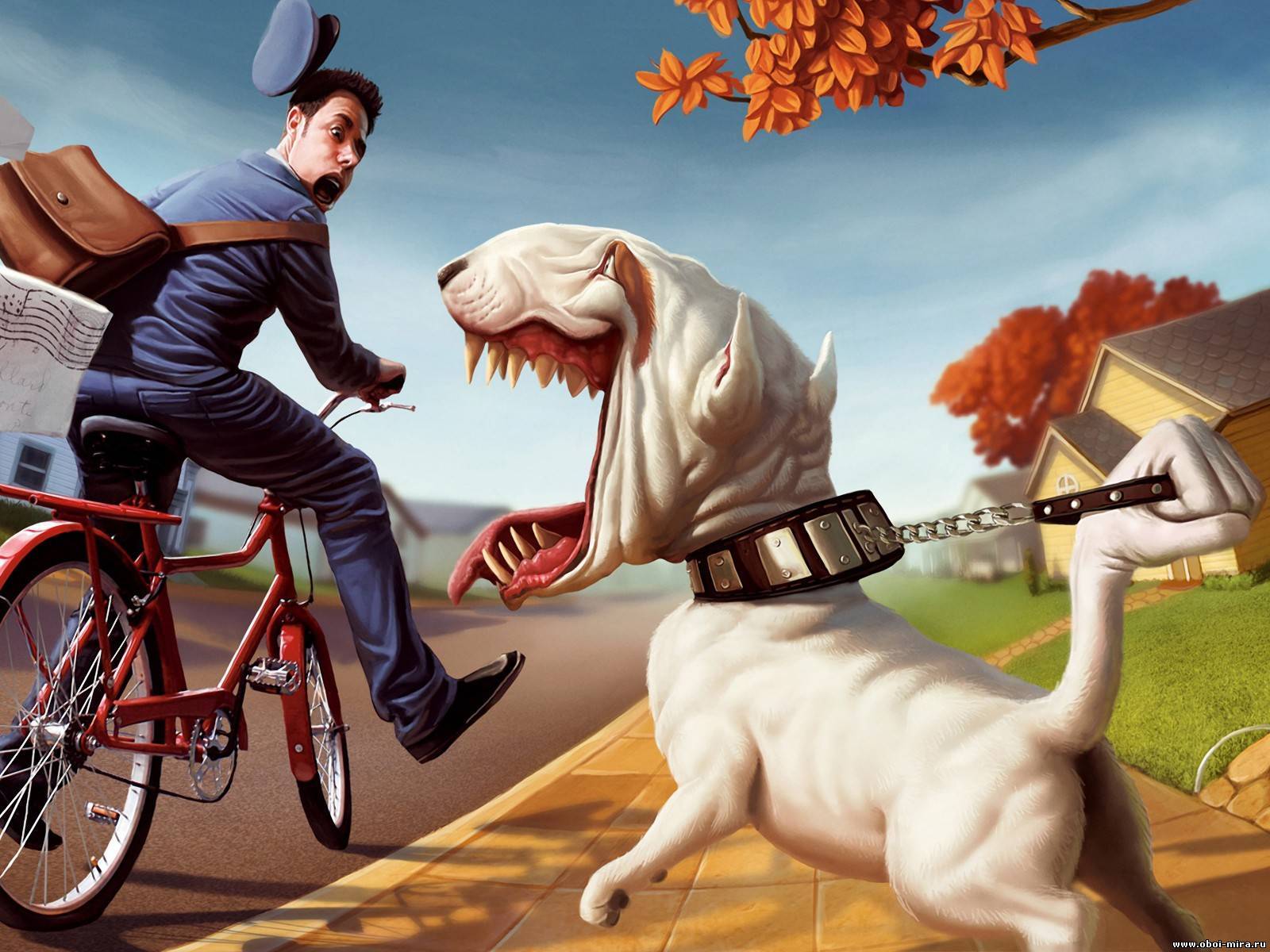 Laden Sie das Hunde, Bilder, Humor-Bild kostenlos auf Ihren PC-Desktop herunter