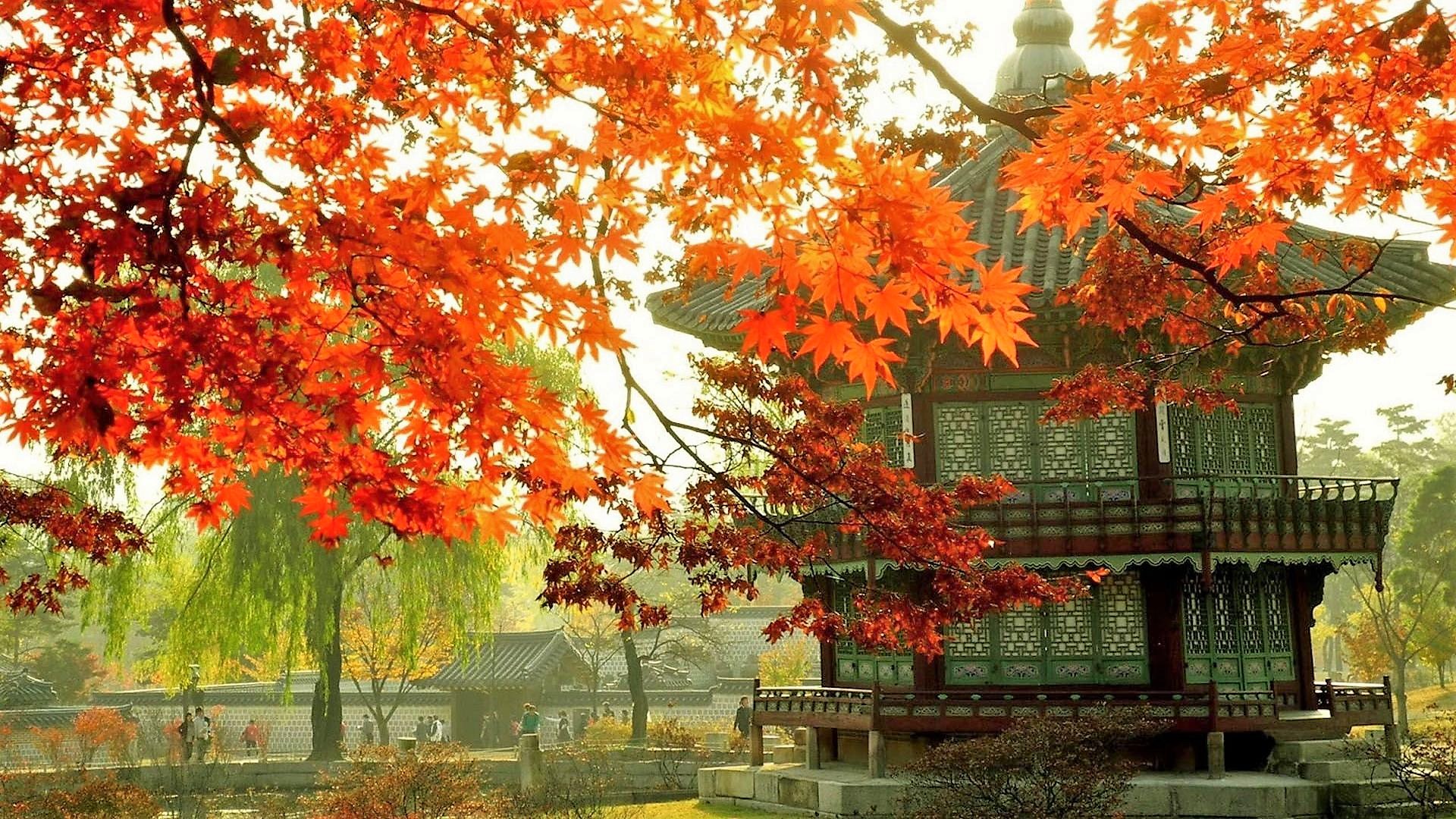 Download mobile wallpaper Architecture, Tree, Fall, House, Temple, Korea, Religious for free.