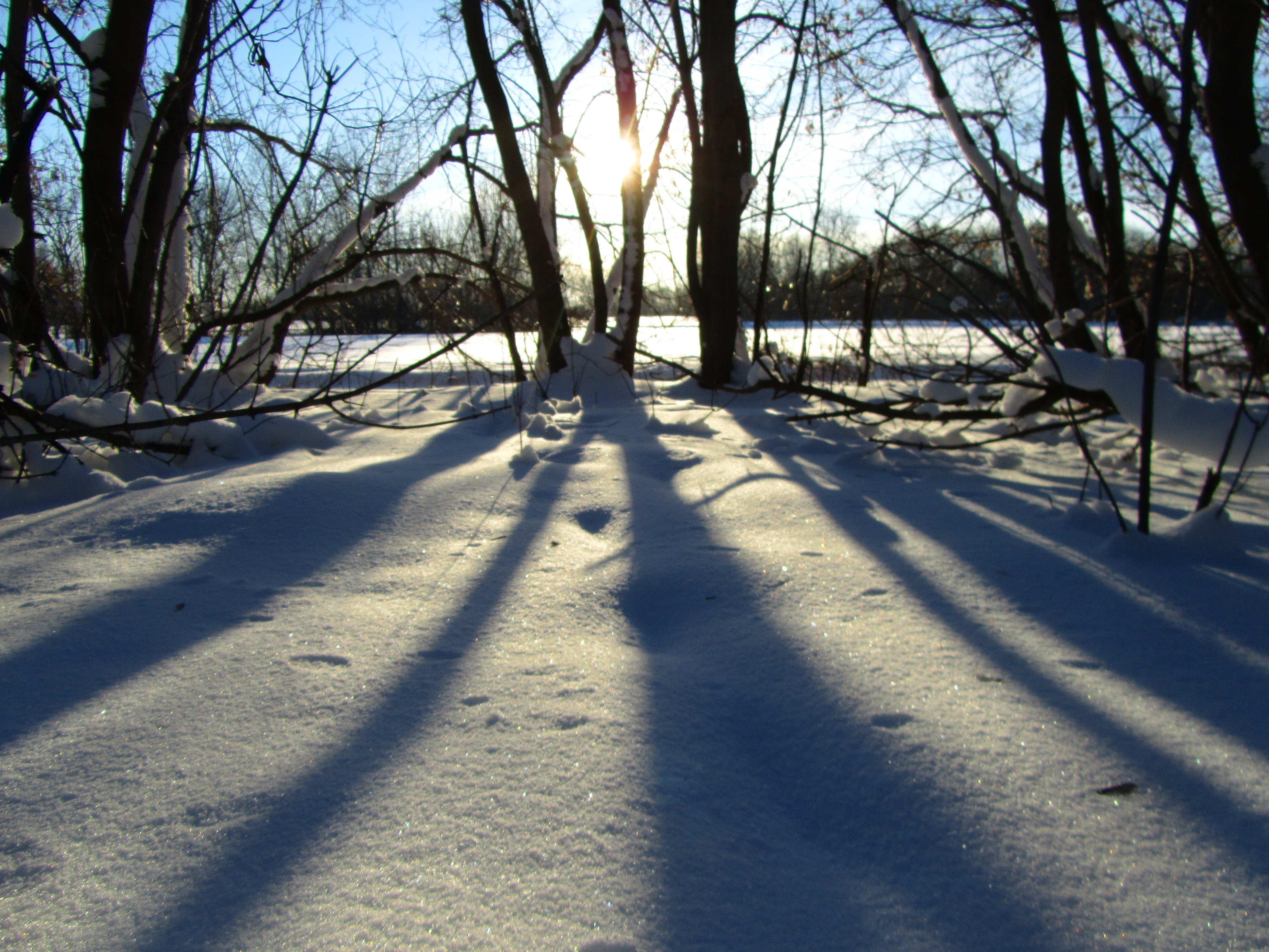 Téléchargez gratuitement l'image Hiver, Terre/nature sur le bureau de votre PC