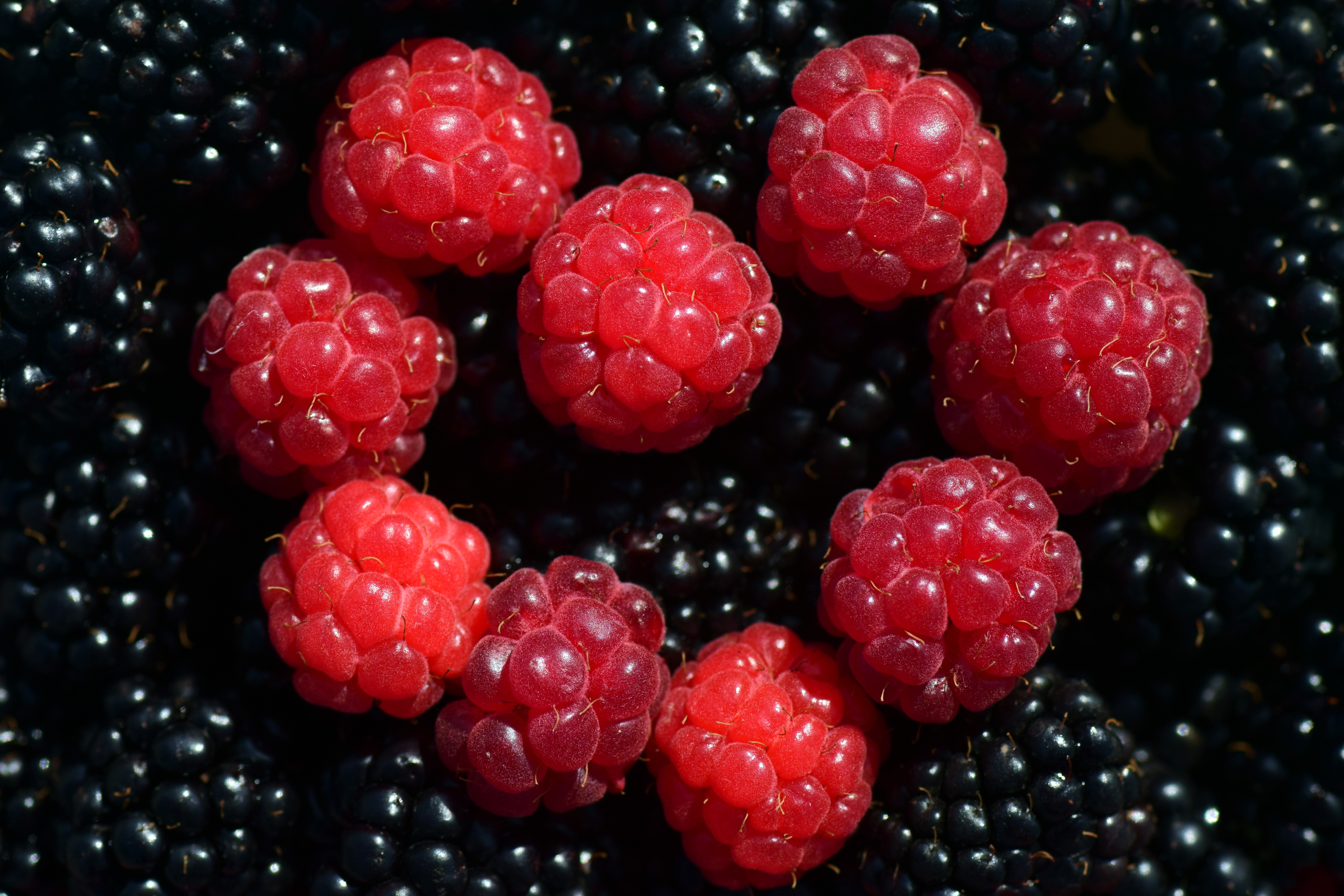 berries, ripe, food, raspberry, blackberry