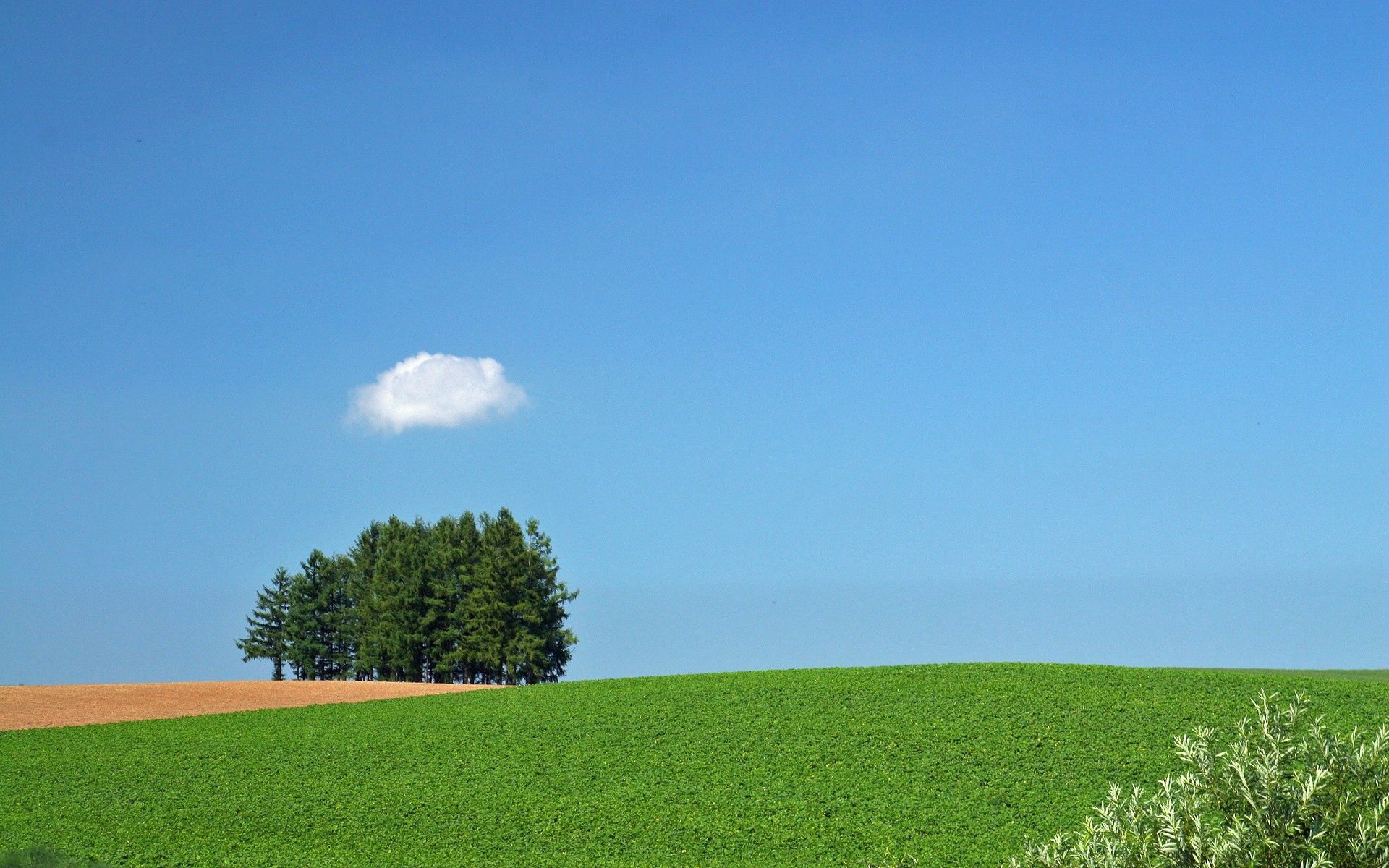 Free download wallpaper Nature, Trees, Summer, Field, Cloud on your PC desktop