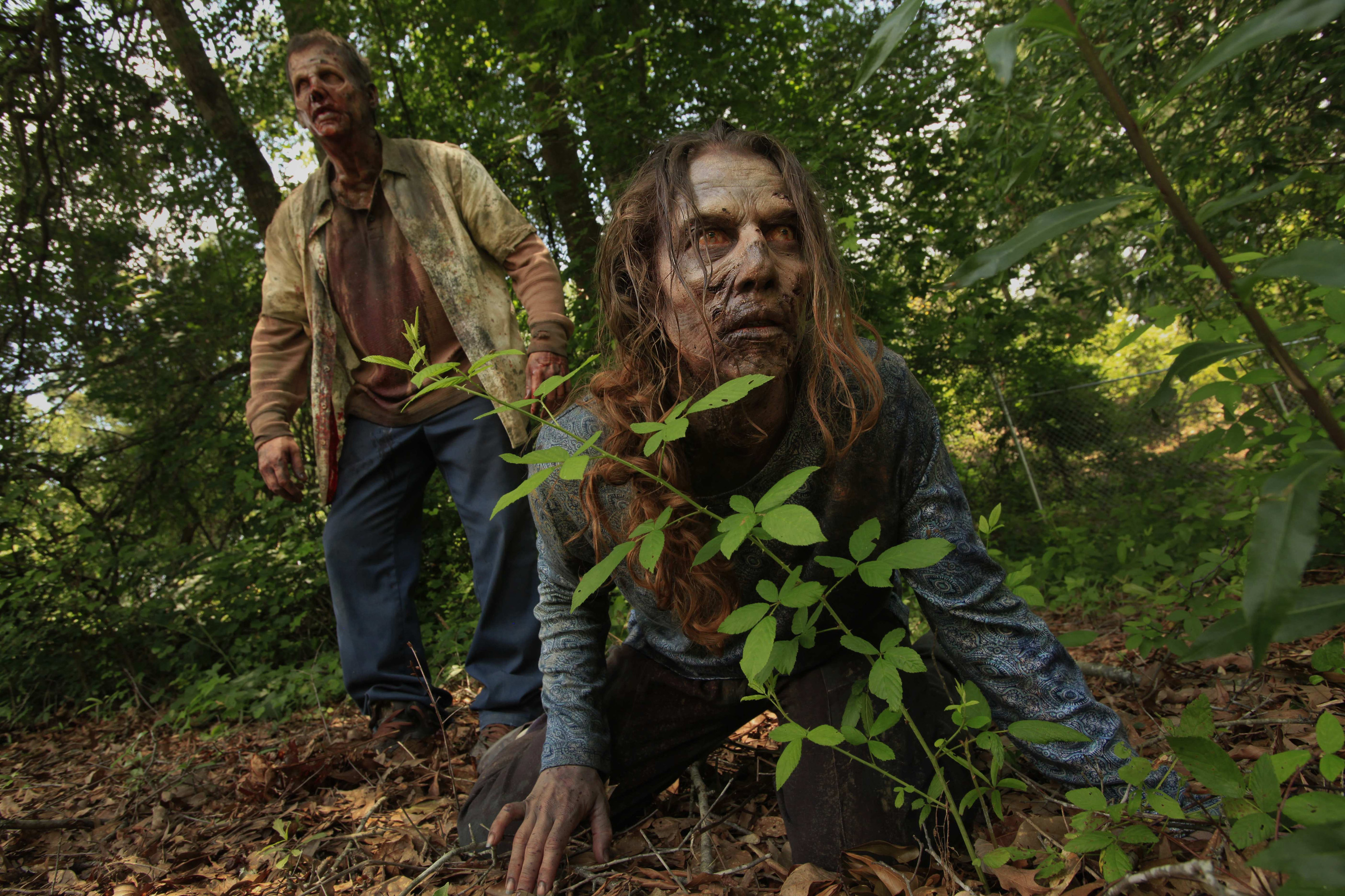 Free download wallpaper Tv Show, Zombie, The Walking Dead on your PC desktop