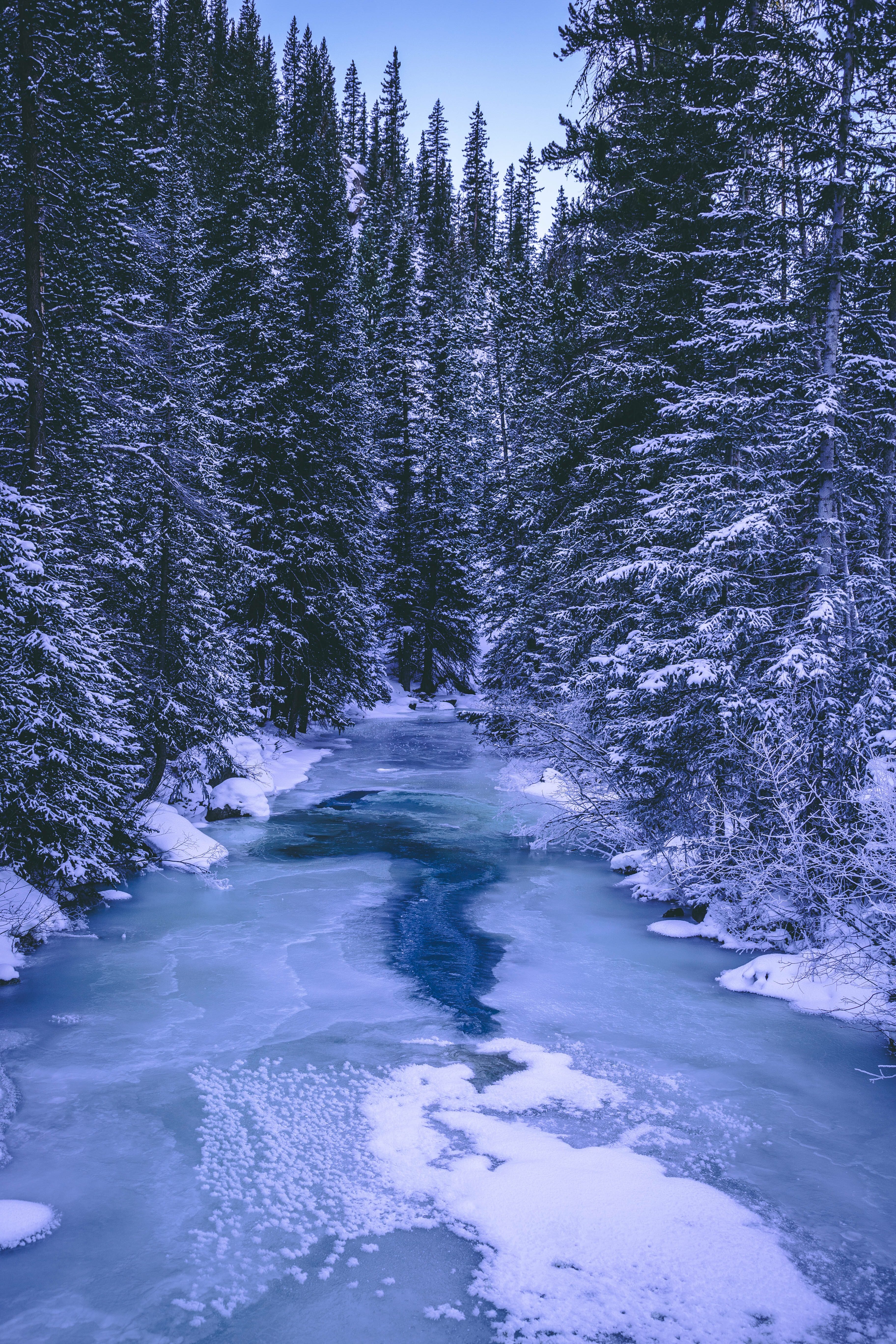 Скачать картинку Лед, Река, Снег, Природа, Деревья, Зима, Лес в телефон бесплатно.