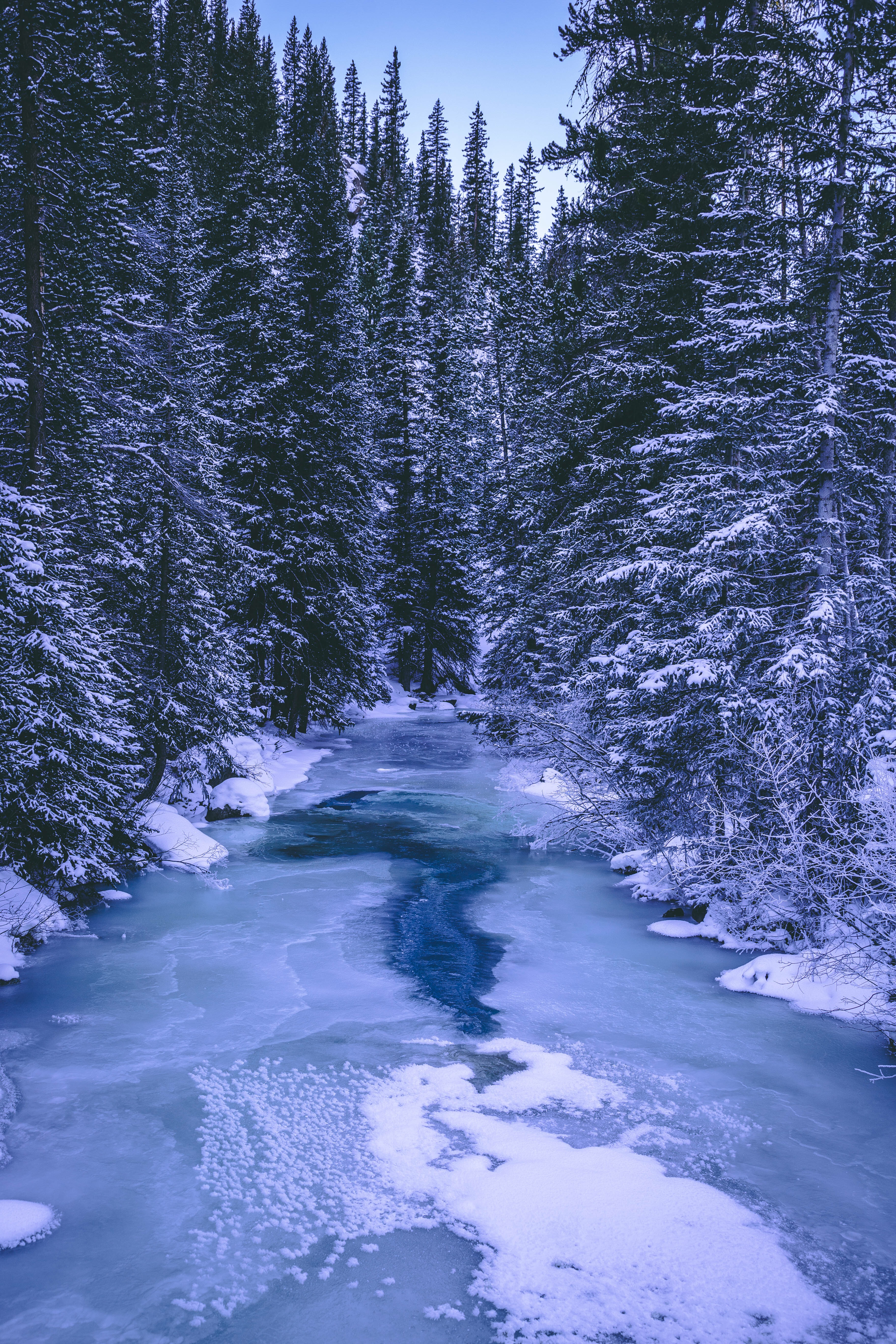 Descarga gratuita de fondo de pantalla para móvil de Bosque, Árboles, Nieve, Naturaleza, Invierno, Ríos, Hielo.