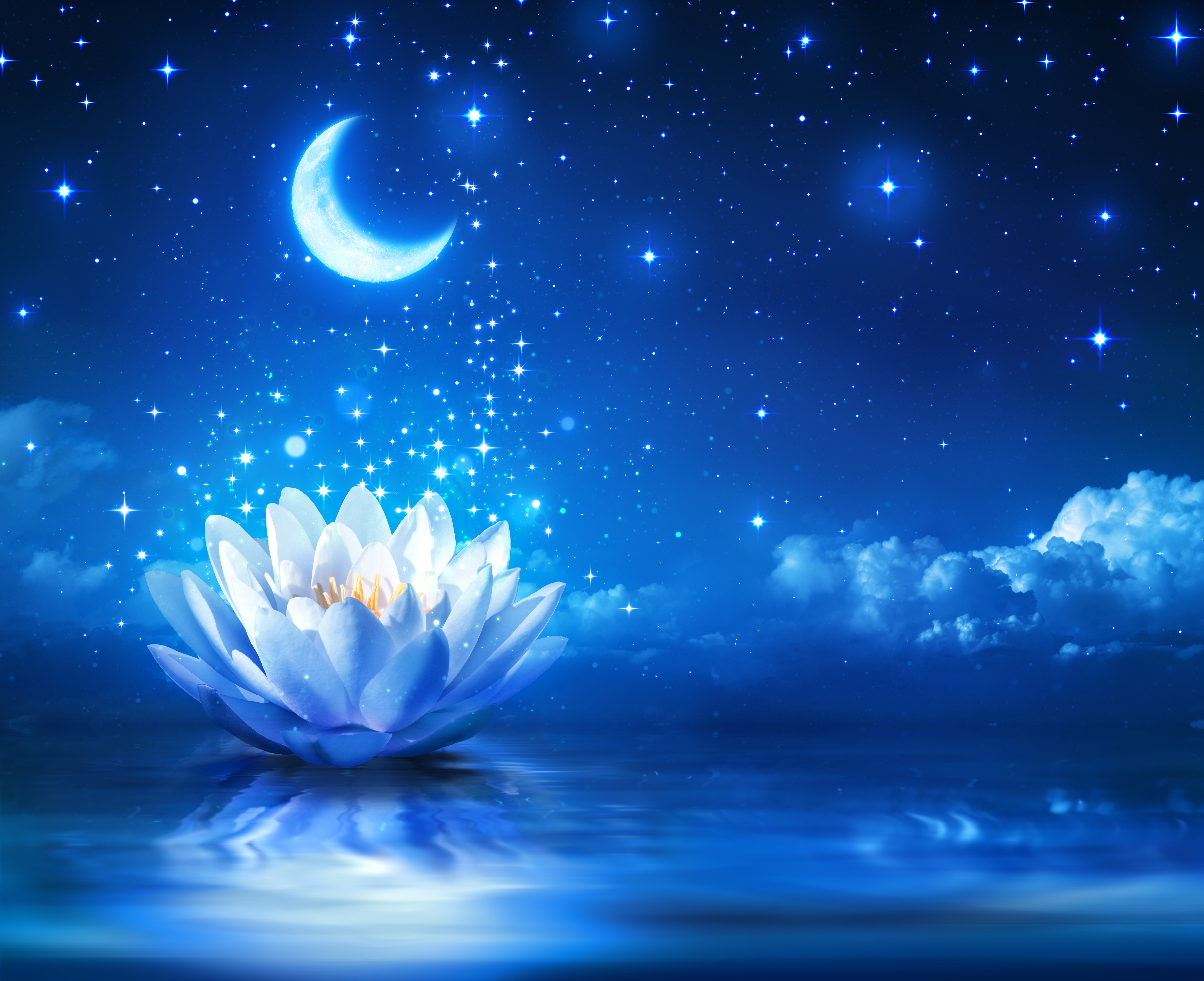 flower, artistic, moon, night, reflection, sparkles, stars, water lily, white flower, flowers
