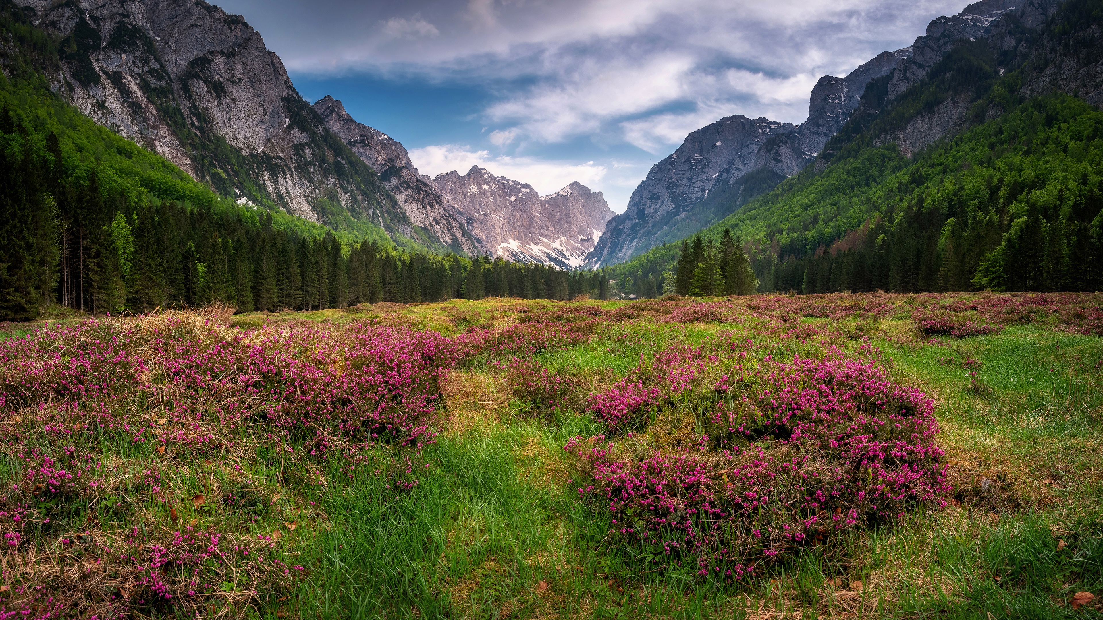 Free download wallpaper Landscape, Mountain, Flower, Earth, Valley on your PC desktop