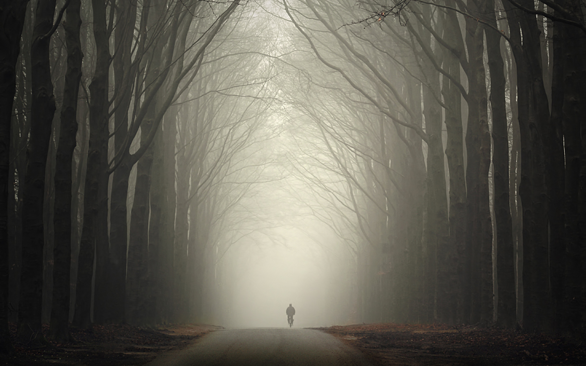 Free download wallpaper People, Road, Forest, Fog, Earth on your PC desktop