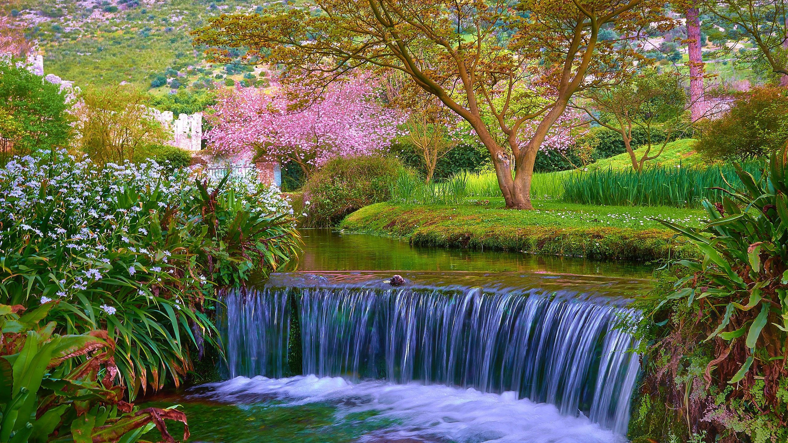 Baixe gratuitamente a imagem Natureza, Cachoeiras, Flor, Parque, Árvore, Primavera, Terra/natureza, Cachoeira na área de trabalho do seu PC