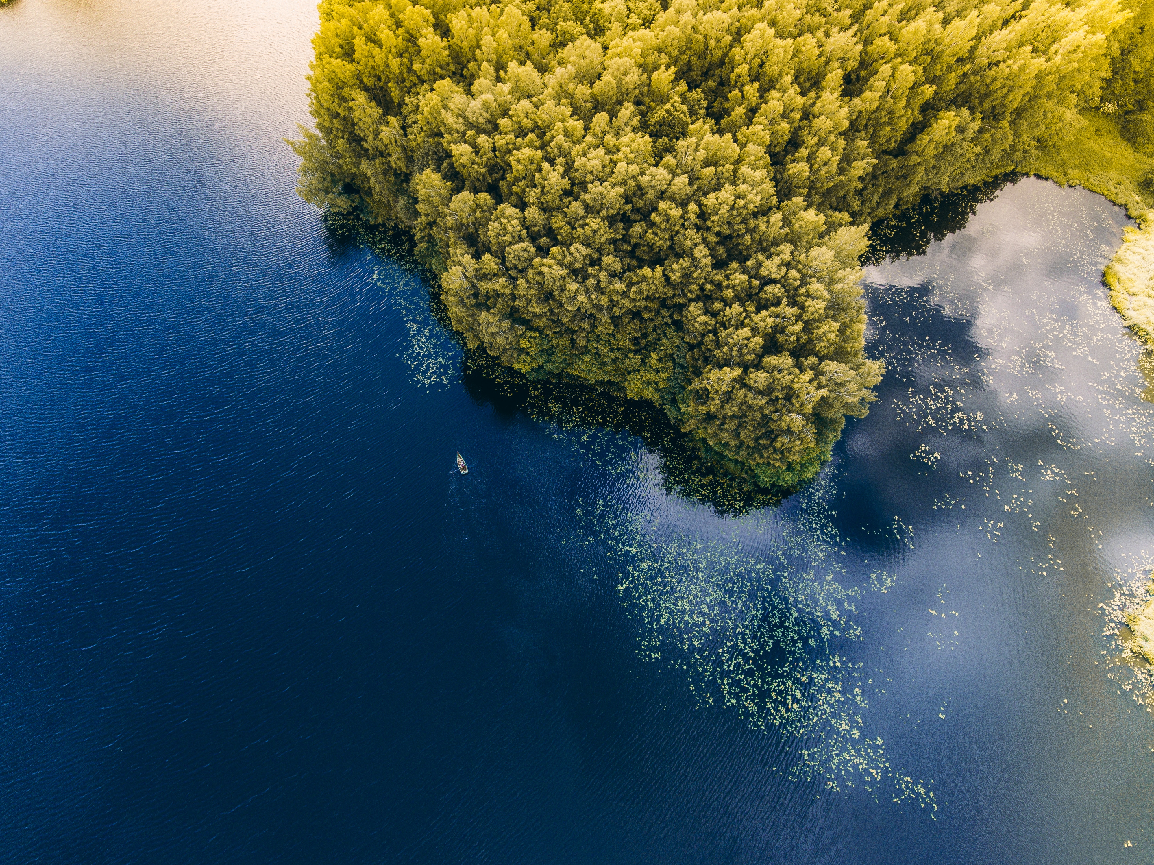 nature, trees, sea, view from above, lithuania, boat