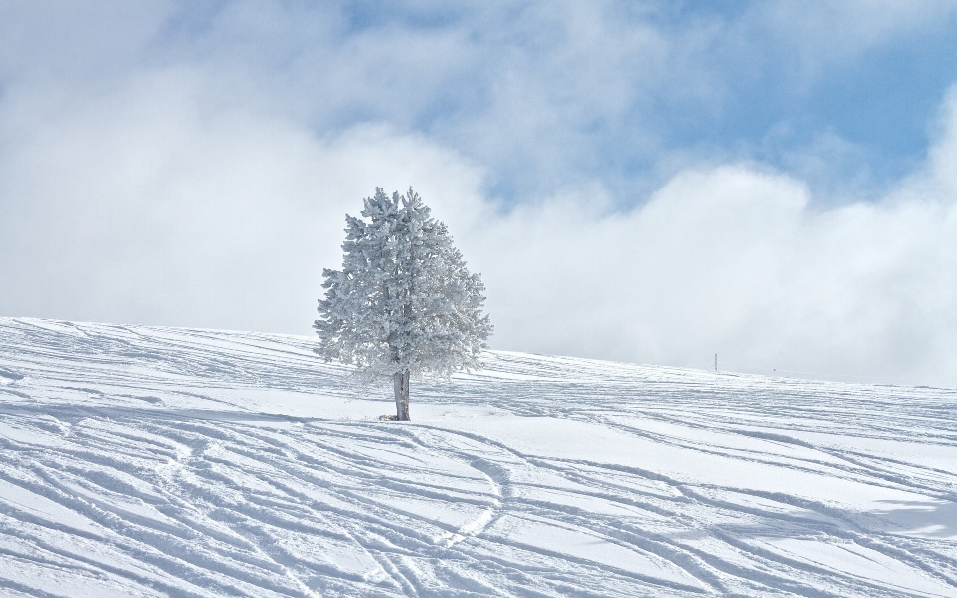 Baixar papel de parede para celular de Paisagem, Inverno, Céu, Neve, Árvore, Colina, Nuvem, Estação, Cênico, Terra/natureza gratuito.