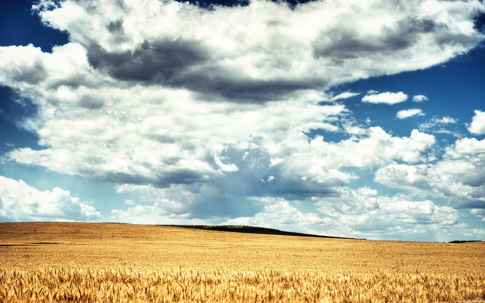 Download mobile wallpaper Earth, Field for free.