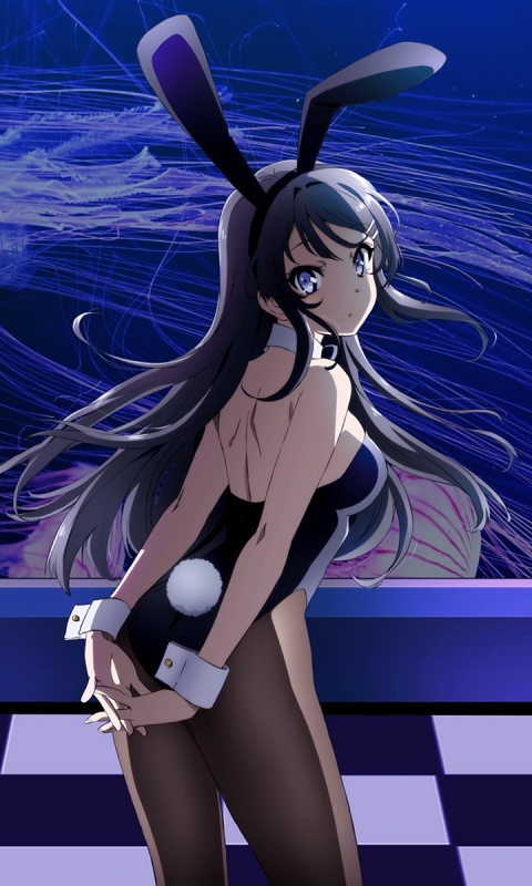 Download mobile wallpaper Anime, Blue Eyes, Black Hair, Long Hair, Pantyhose, Bunny Ears, Mai Sakurajima, Rascal Does Not Dream Of Bunny Girl Senpai for free.