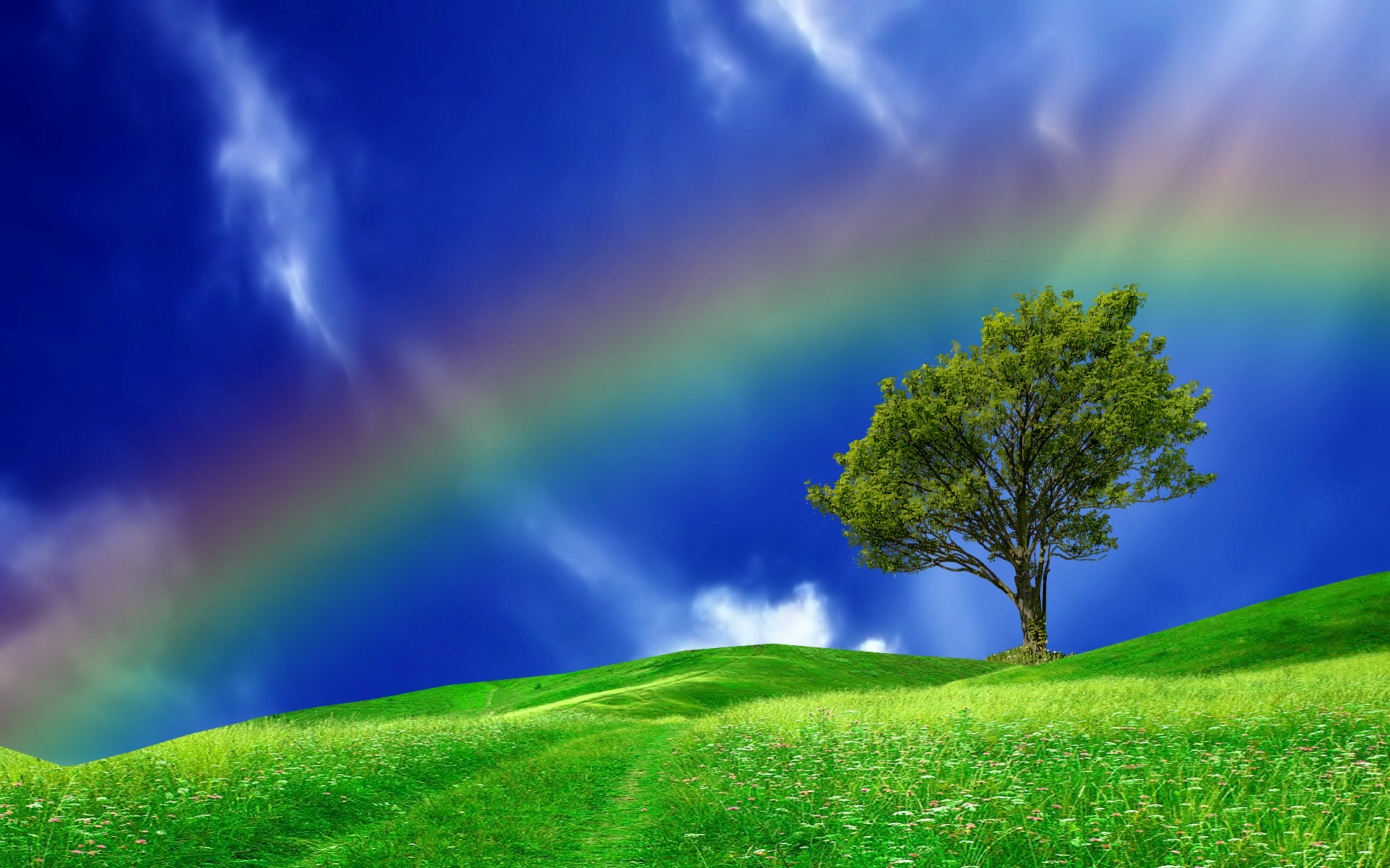 Download mobile wallpaper Grass, Rainbow, Tree, Earth, Field for free.