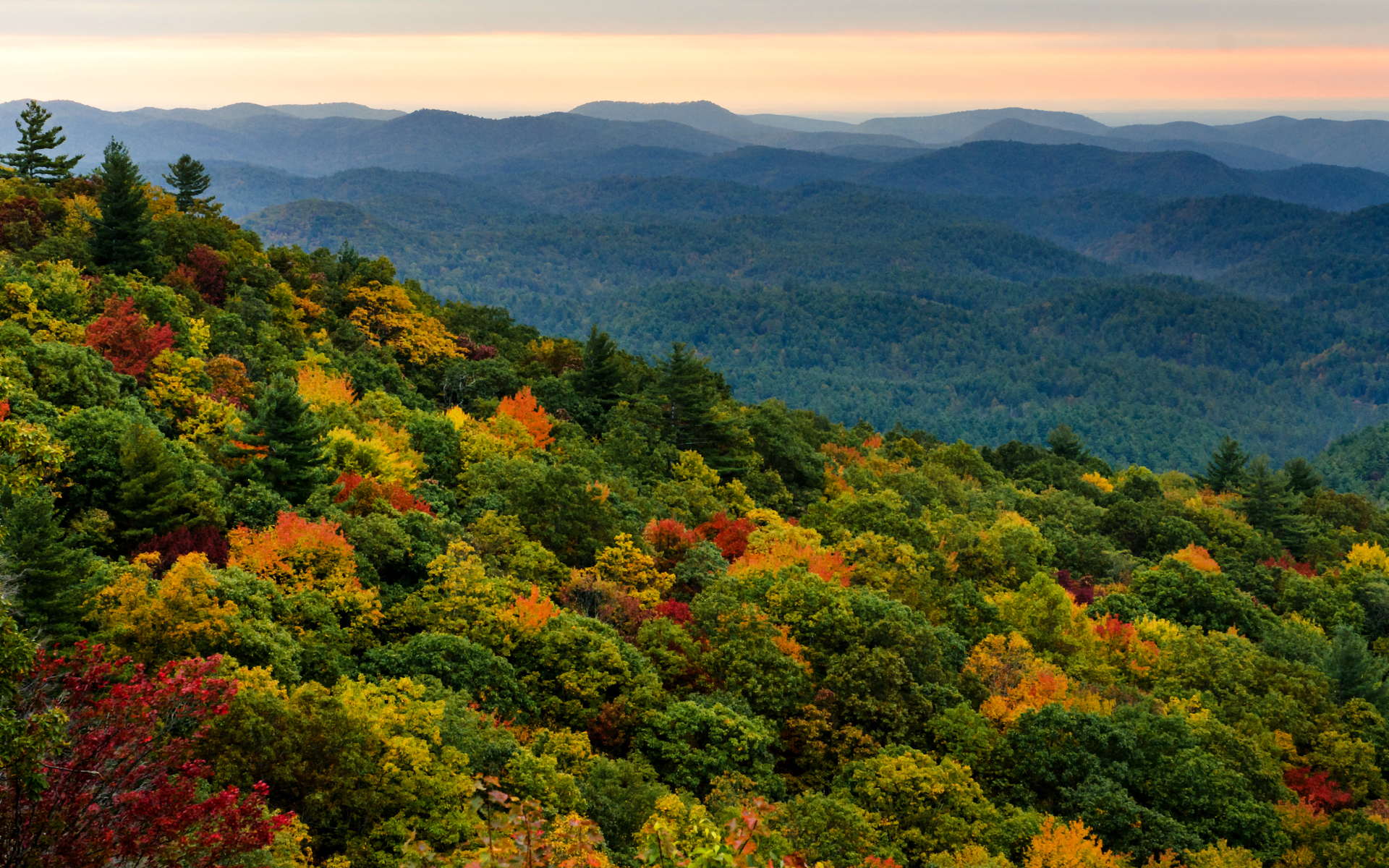 Descarga gratis la imagen Bosque, Tierra/naturaleza en el escritorio de tu PC