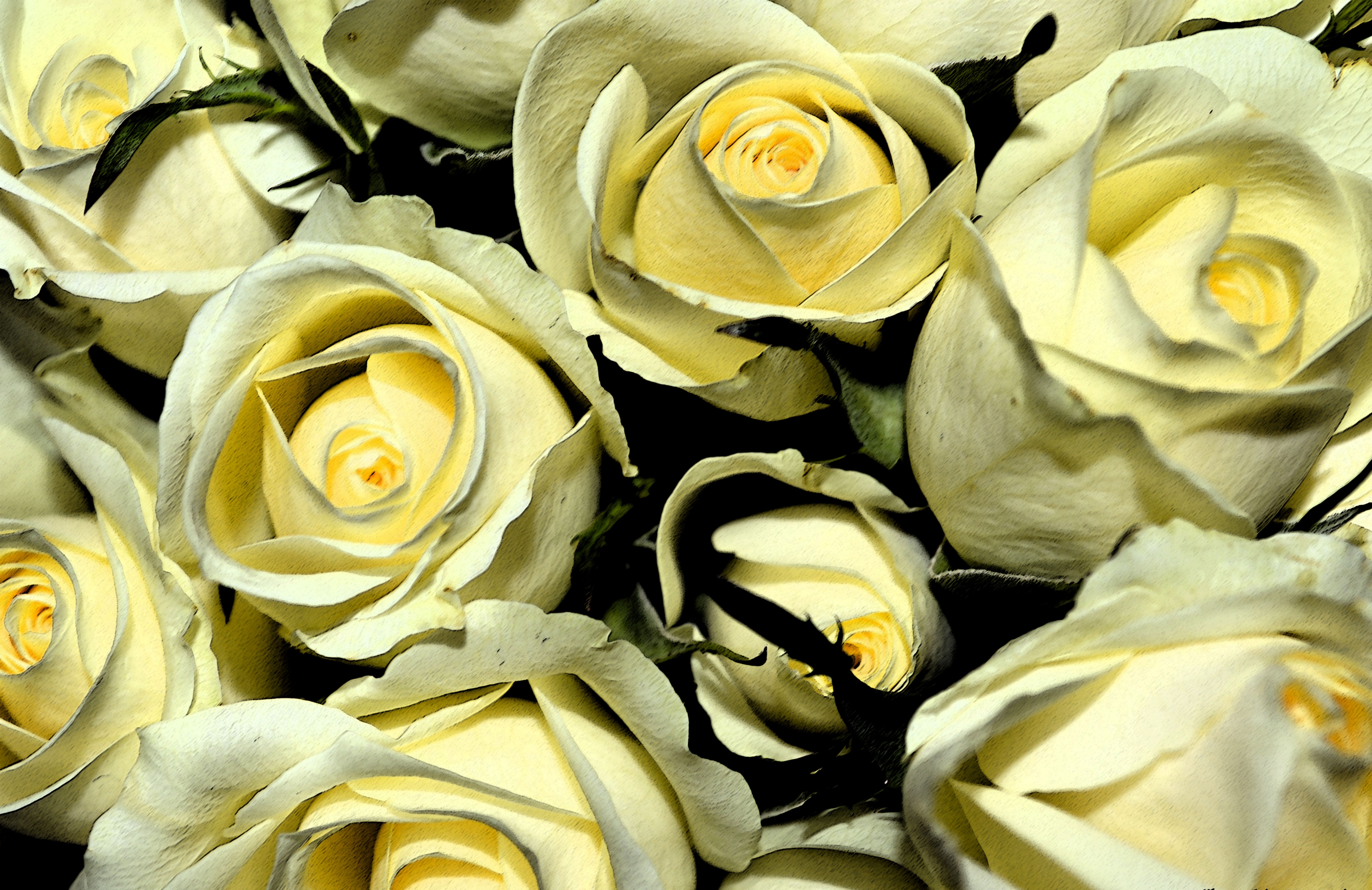Descarga gratis la imagen Ramo, Flores, Cogollos, Brotes, Rosas Amarillas en el escritorio de tu PC