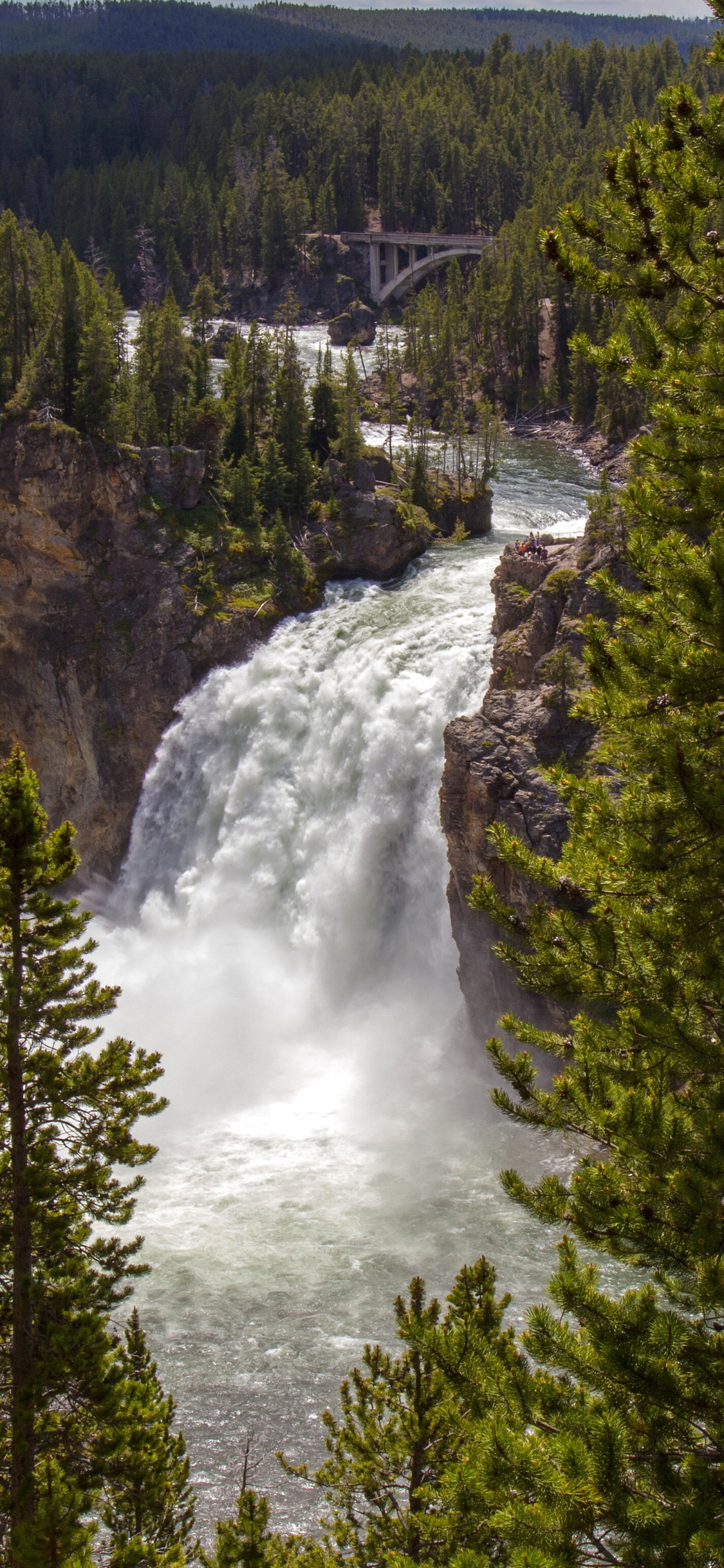 Descarga gratuita de fondo de pantalla para móvil de Cascadas, Cascada, Bosque, Tierra/naturaleza.