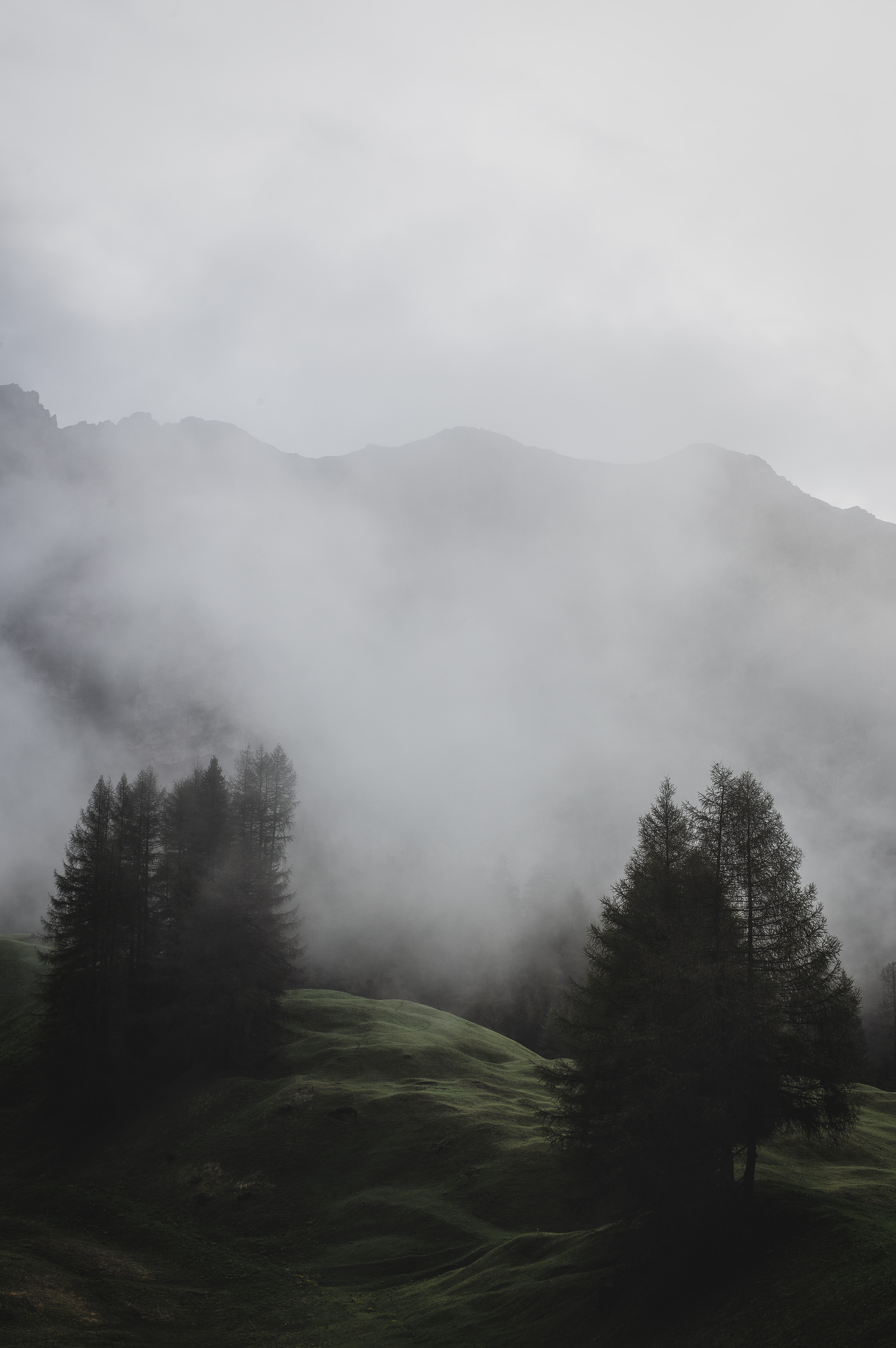 Descarga gratis la imagen Naturaleza, Montañas, Niebla, Prado, Árboles, Italia en el escritorio de tu PC