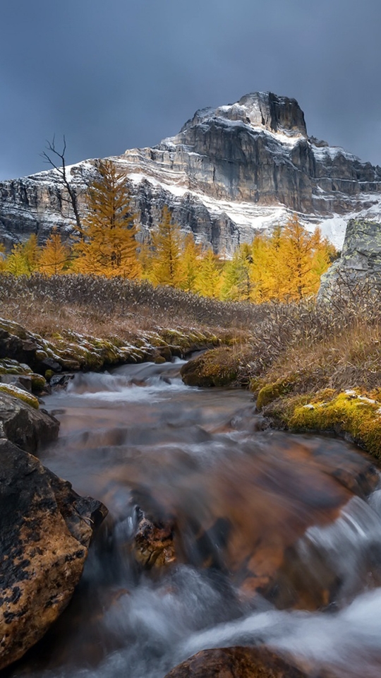 Handy-Wallpaper Natur, Herbst, Berg, Moos, Gebirge, Strom, Erde/natur kostenlos herunterladen.