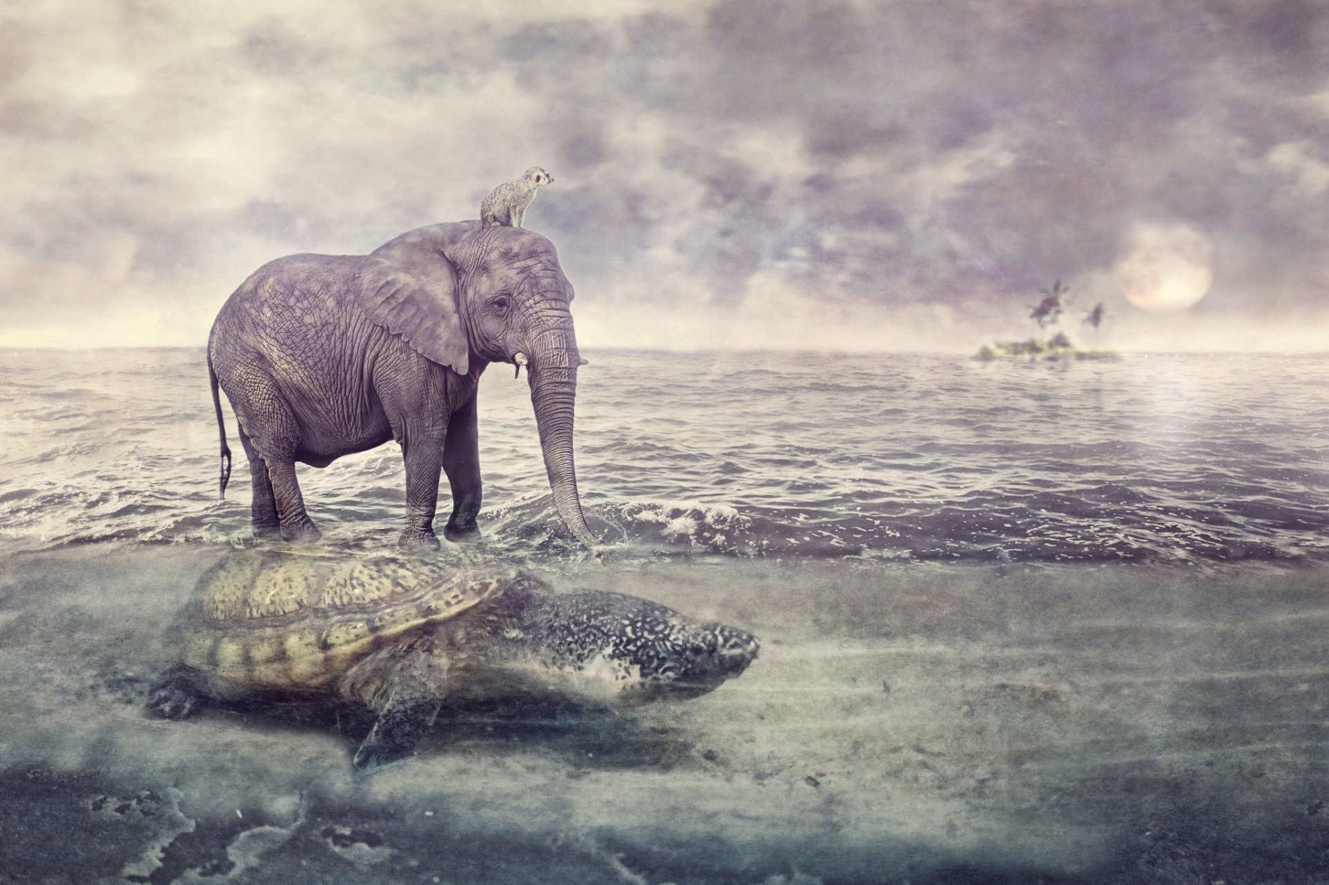 Download mobile wallpaper Fantasy, Sea, Animal, Elephant, Meerkat, Turtle, Fantasy Animals for free.