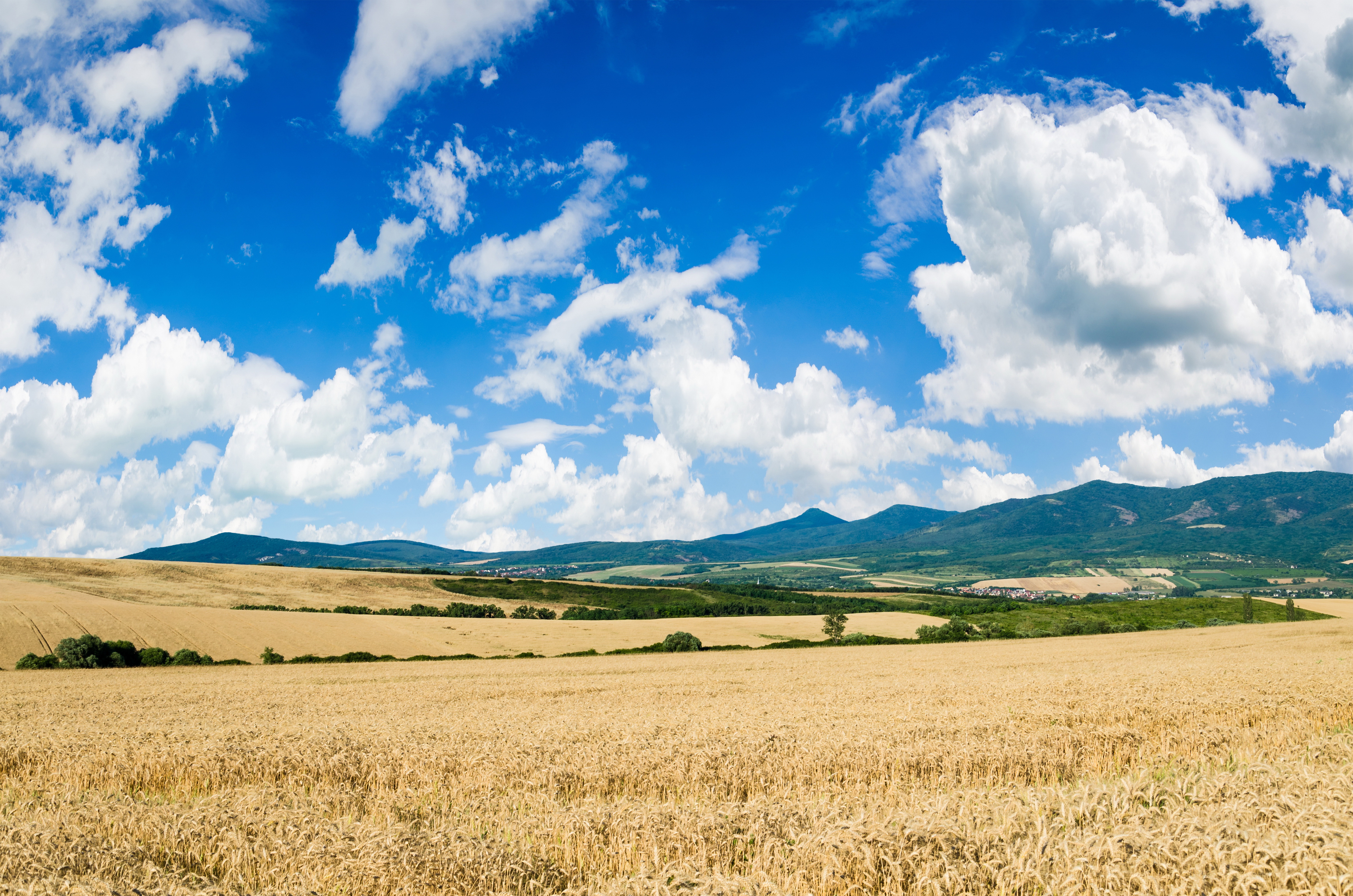 Téléchargez gratuitement l'image Paysage, Terre/nature sur le bureau de votre PC