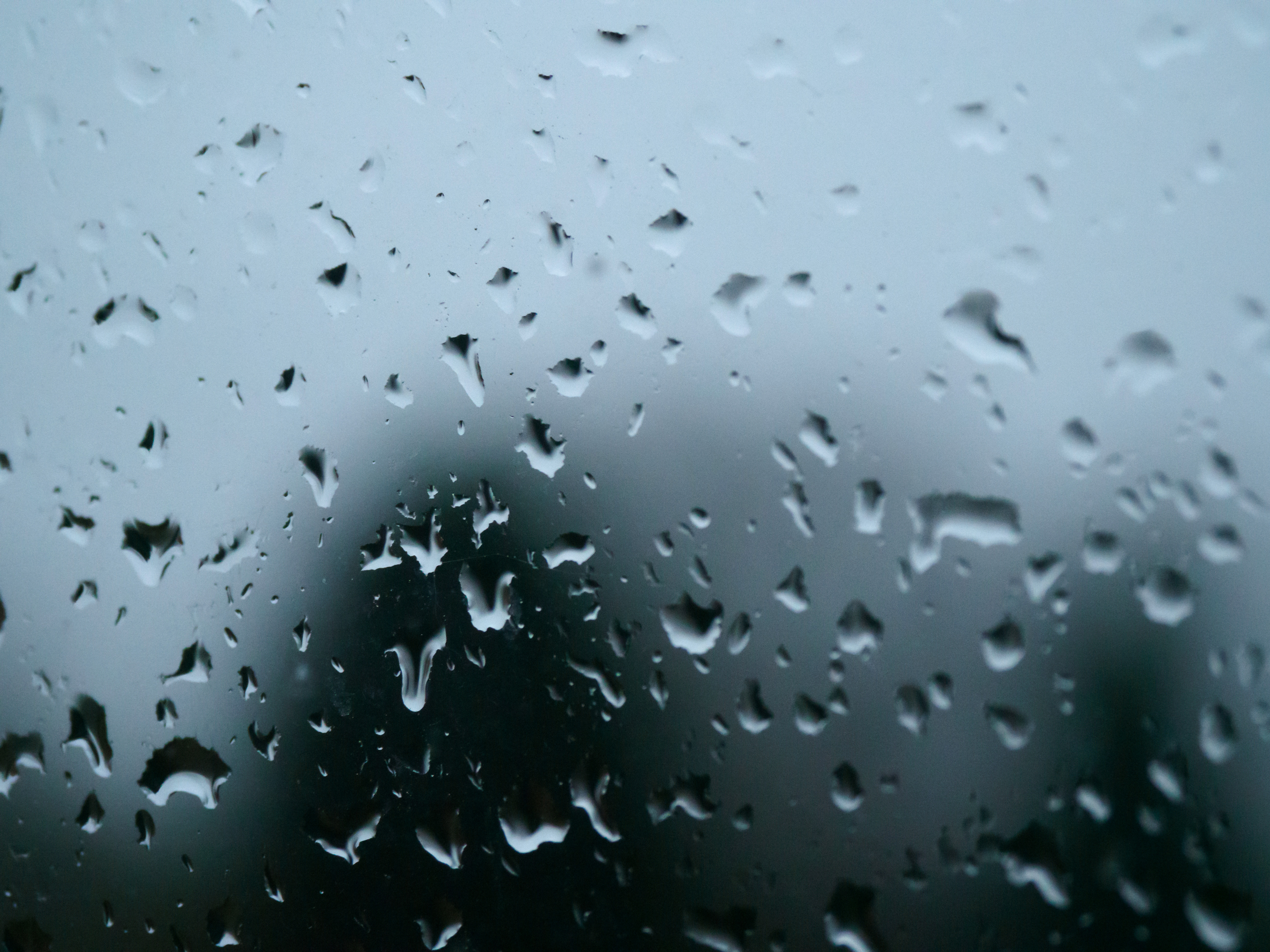 Download mobile wallpaper Macro, Wet, Drops, Glass, Rain for free.