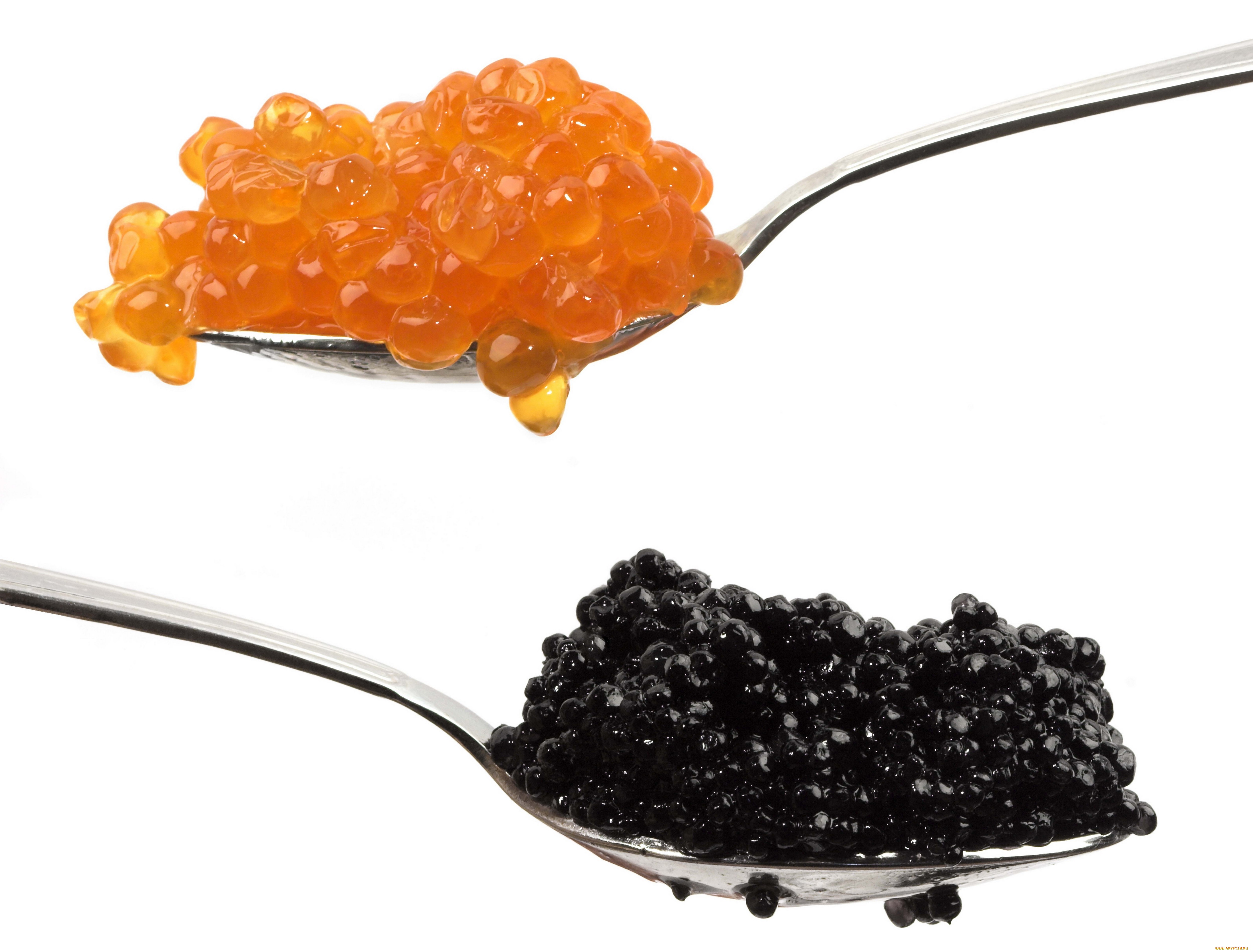 food, caviar