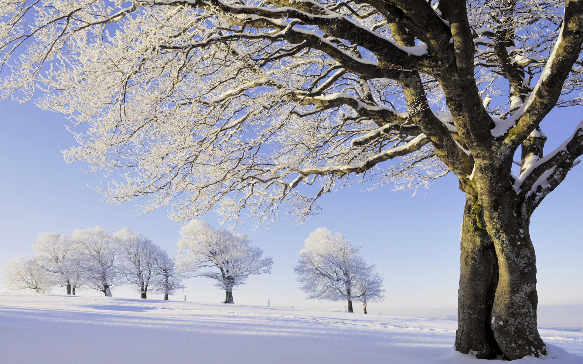 Download mobile wallpaper Winter, Earth for free.