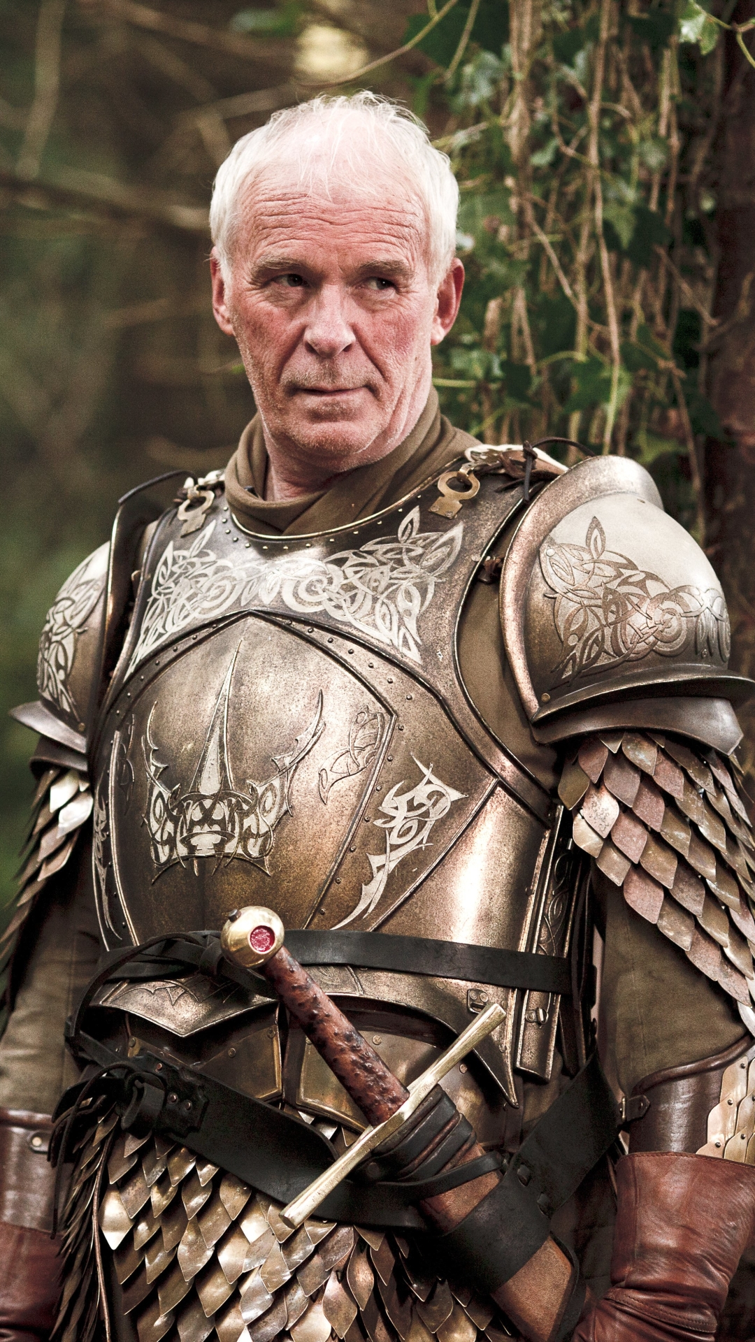 Download mobile wallpaper Game Of Thrones, Tv Show, Barristan Selmy, Ian Mcelhinney for free.