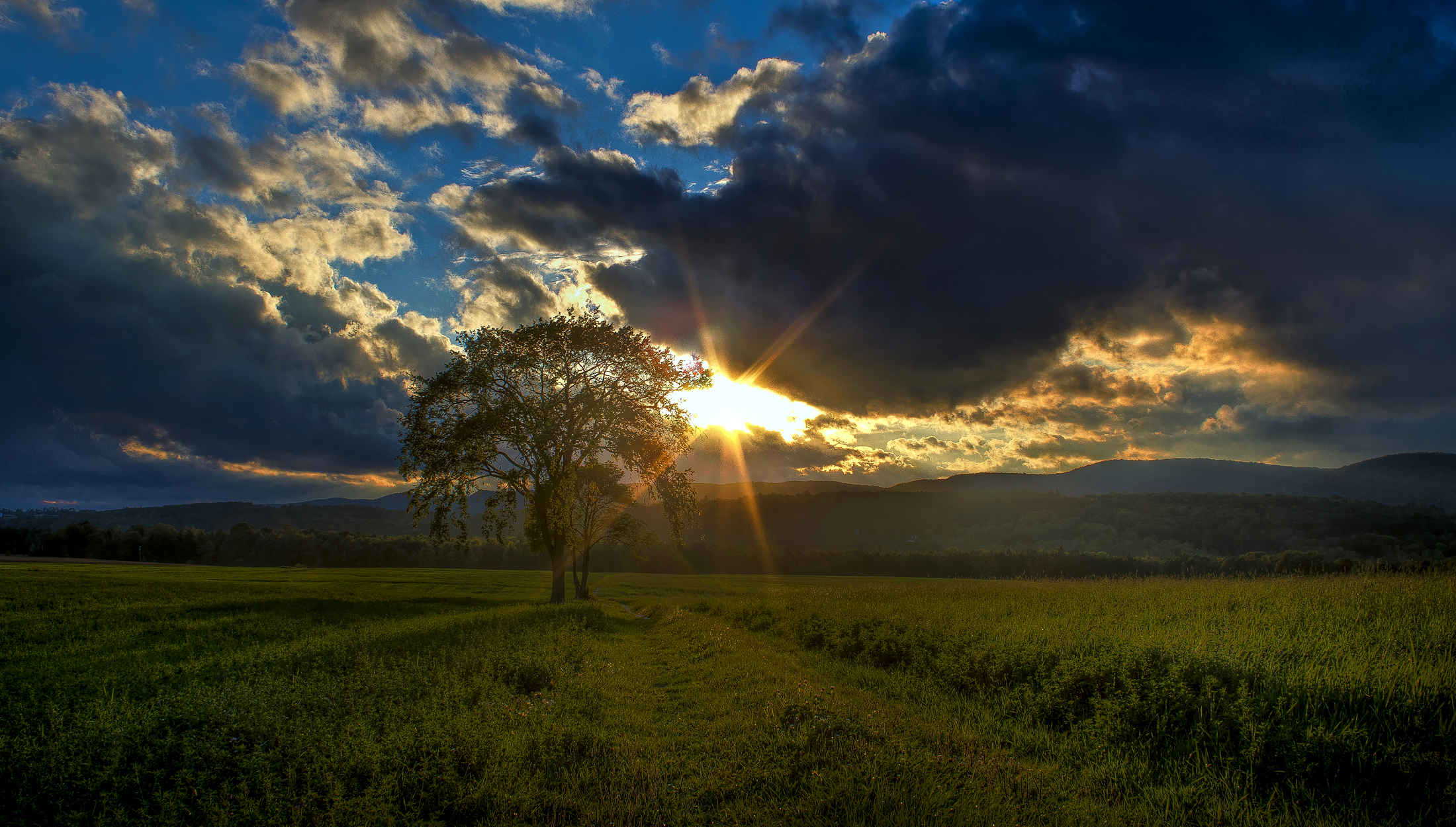Free download wallpaper Nature, Summer, Tree, Earth, Field, Cloud, Sunbeam, Lonely Tree on your PC desktop