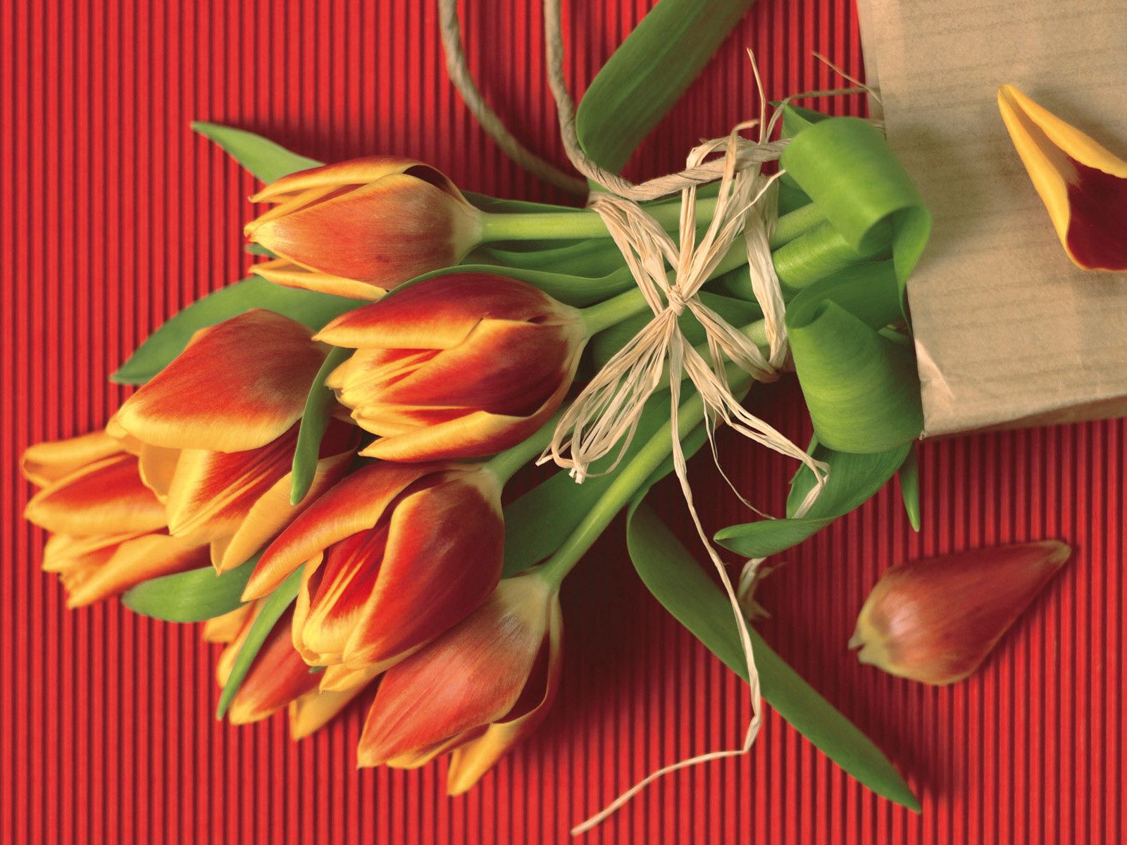 tulips, flowers, petals, bouquet, paper, rope HD for desktop 1080p